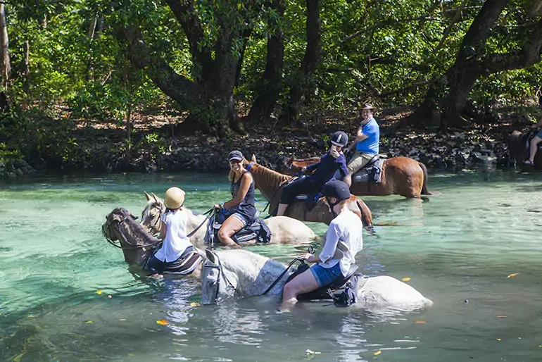 People riding horses in a river surrounded by trees.
