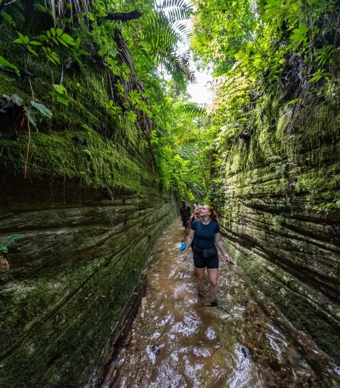 People hiking through a narrow, moss-covered canyon with lush green foliage overhead and shallow water on the ground.