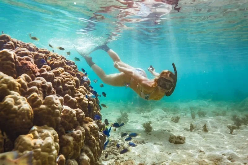 A woman snorkeling underwater near a coral reef with small colorful fish swimming around.