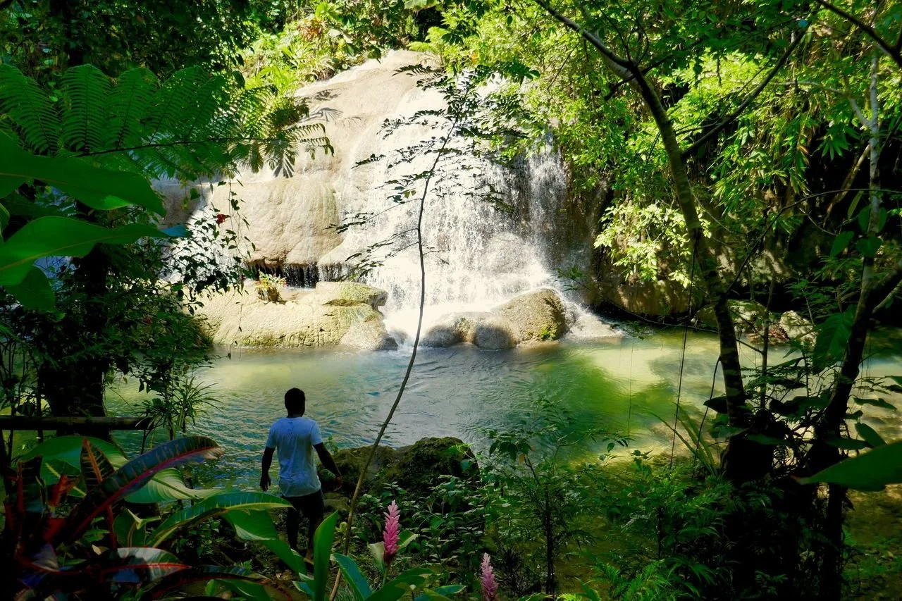 A person stands near a lush green waterfall surrounded by dense jungle foliage.
