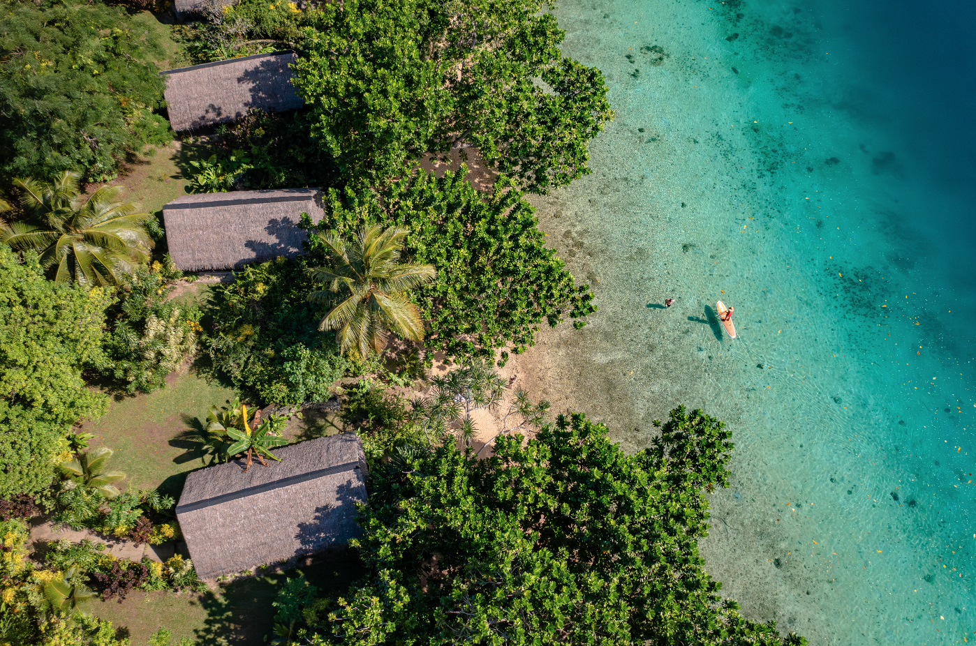 Bird's eye view of a tropical beach with huts, lush green trees, palm trees, and clear turquoise water, with a person on a paddleboard near the shore.
