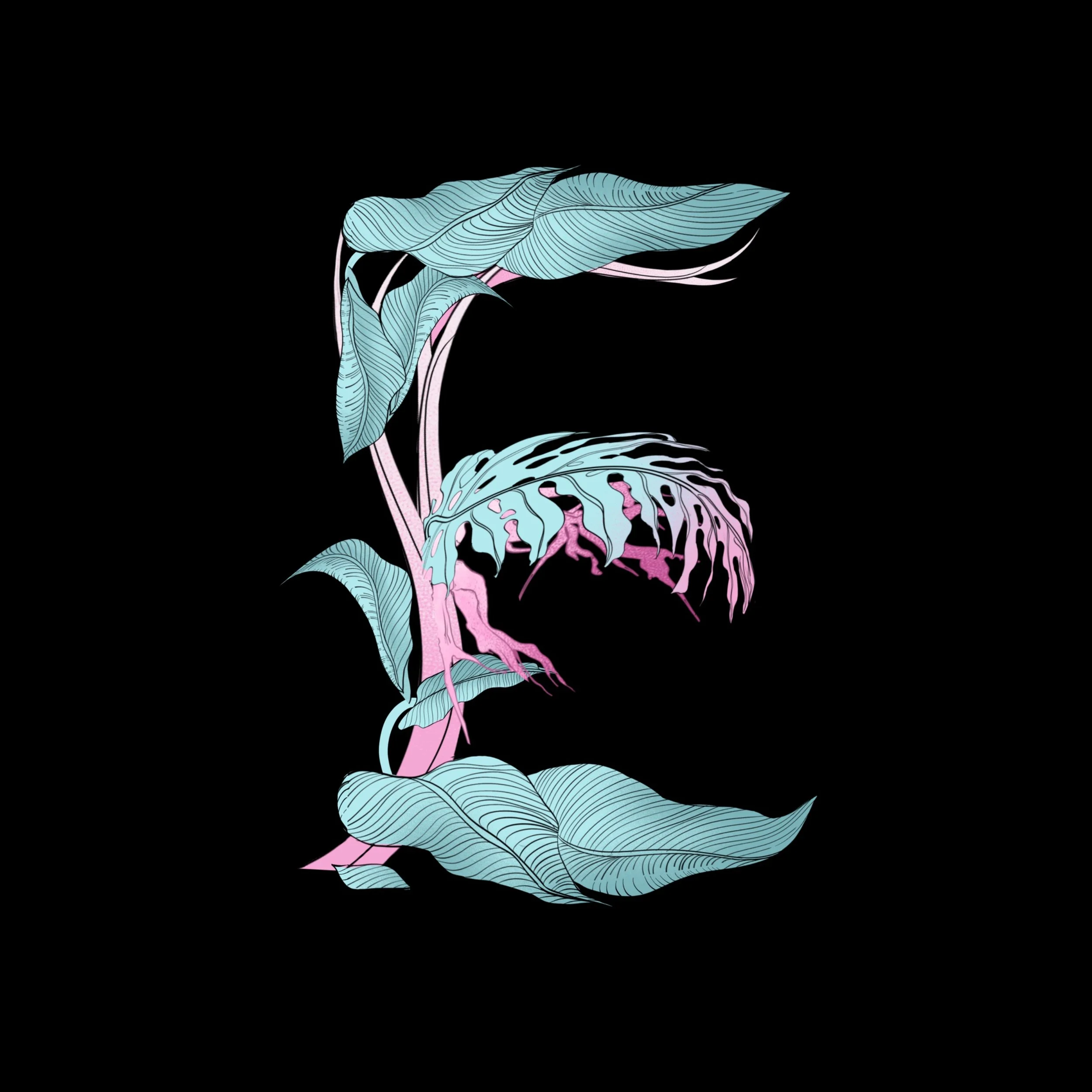 未命名作品 326.jpg