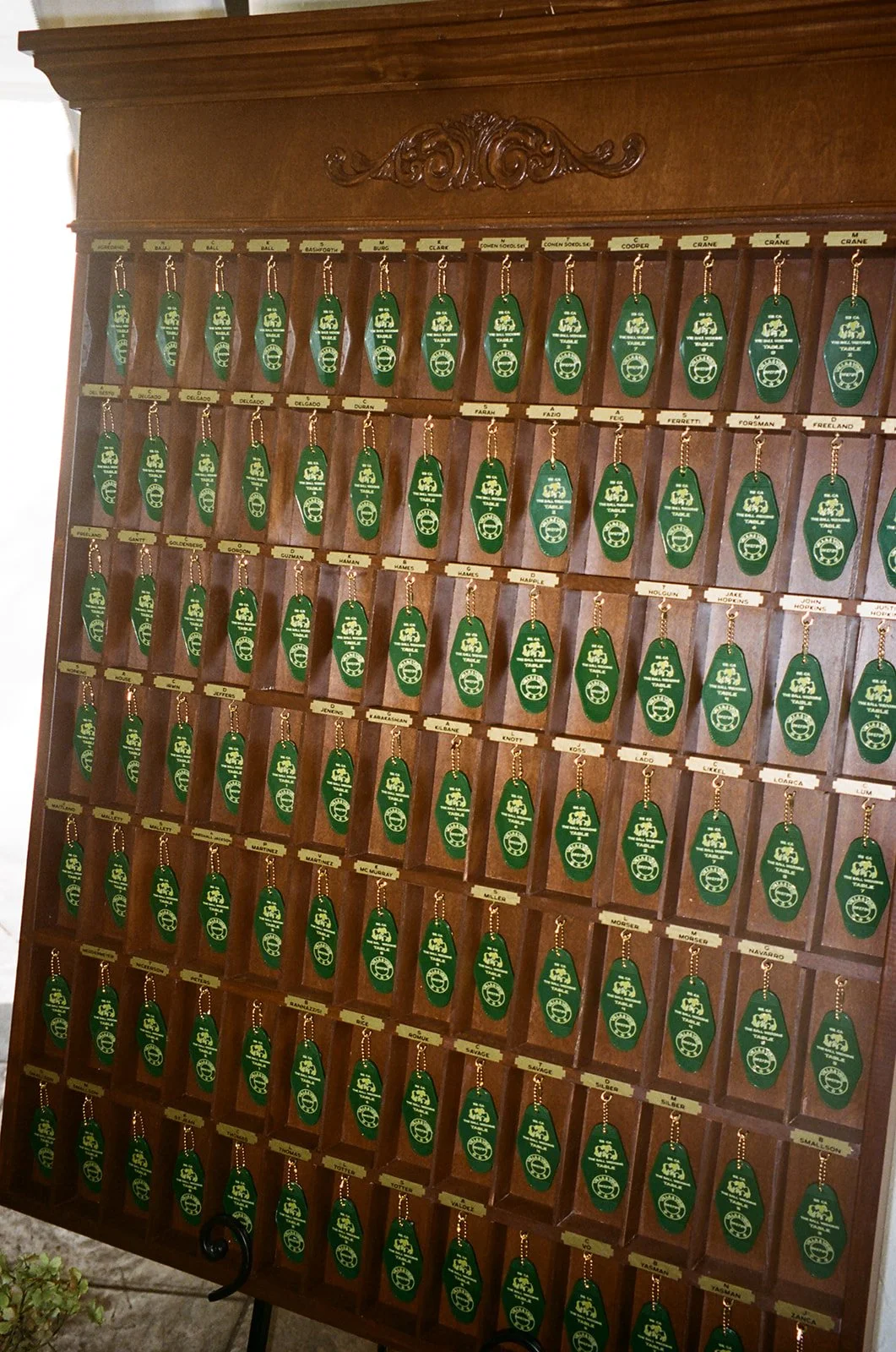 48610018.jpg
