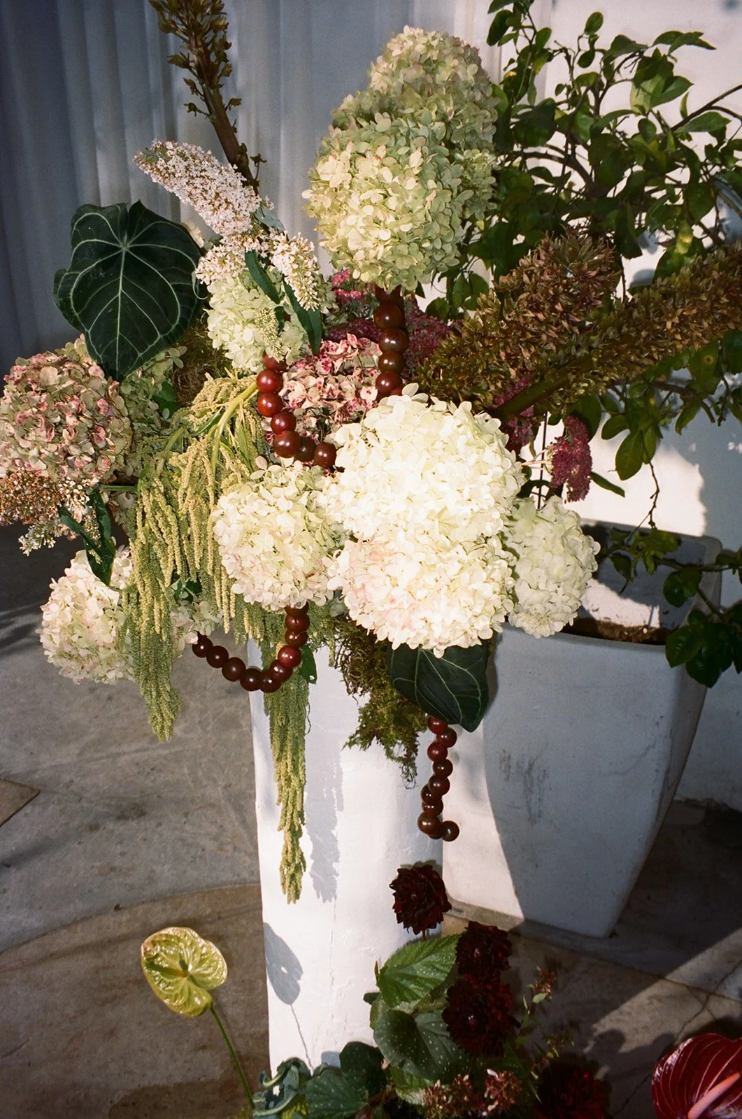 48610013.jpg