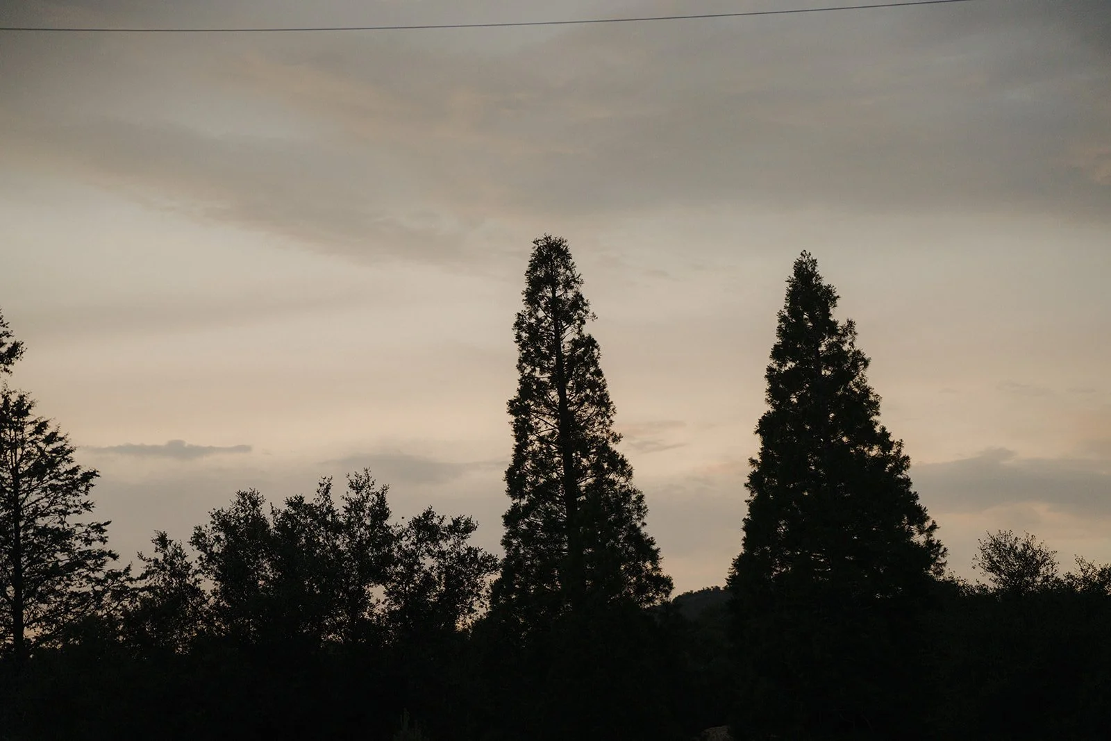 DSC07707.jpg