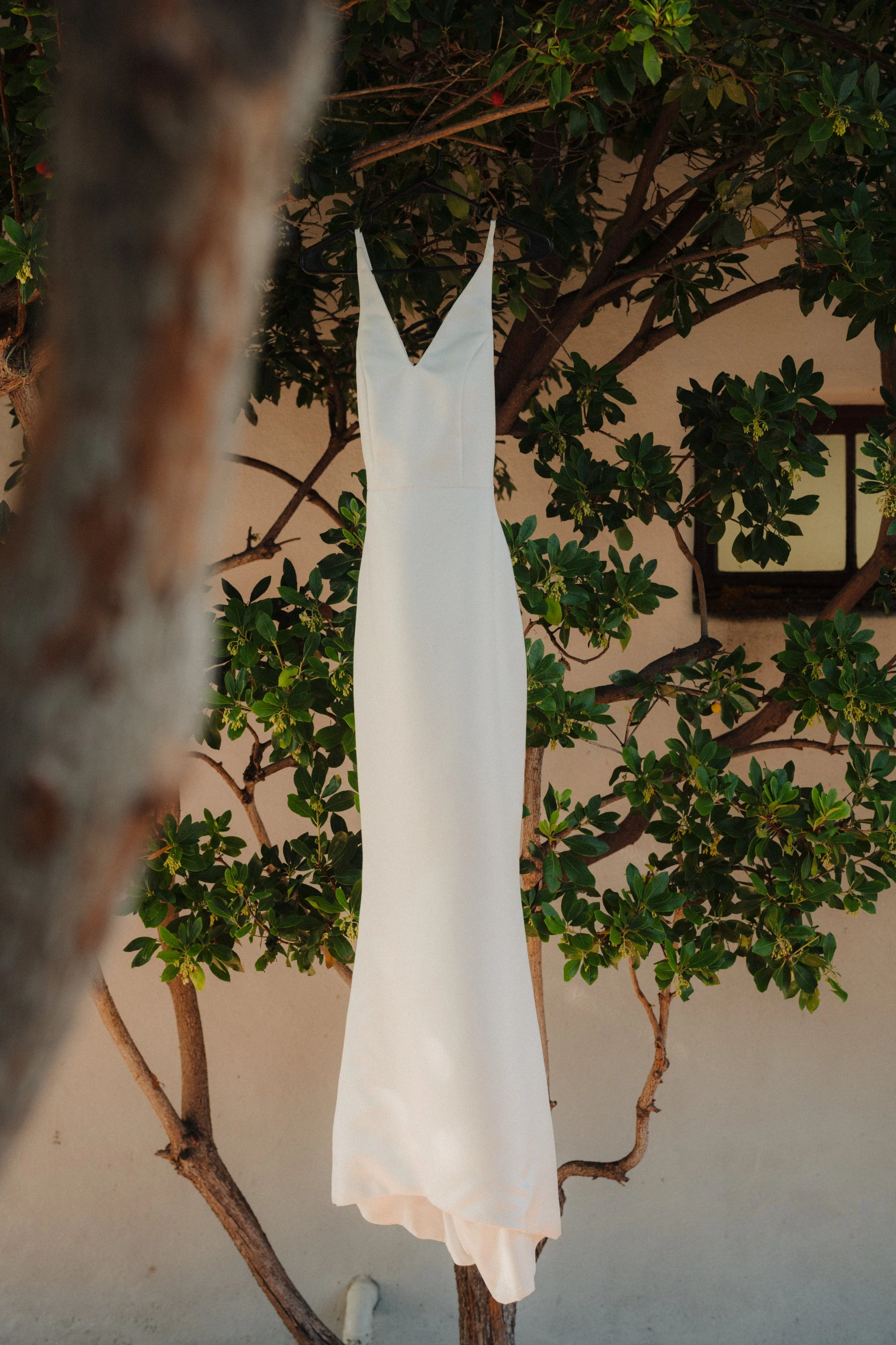 DSC08834.jpg
