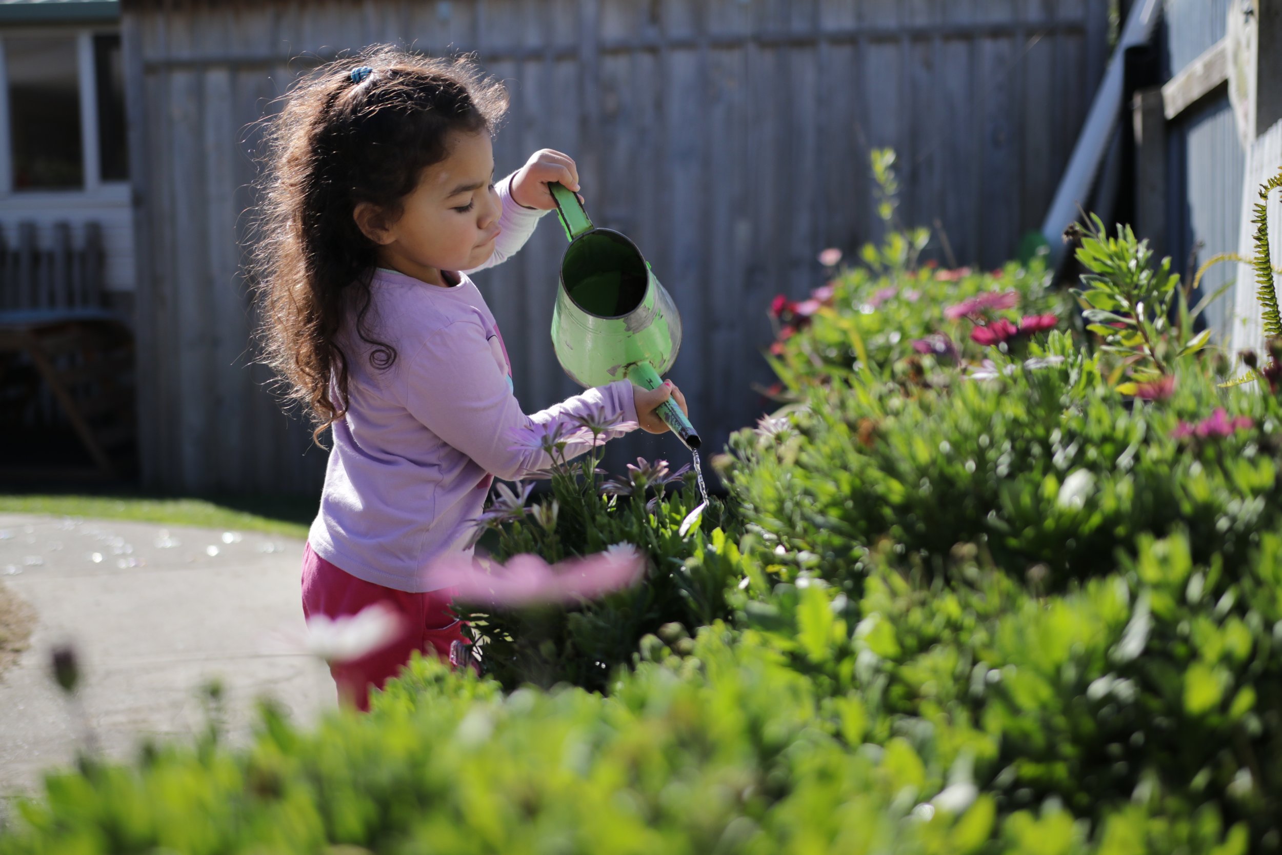 A young girl with long brown hair watering a garden with pink flowers using a green watering can.