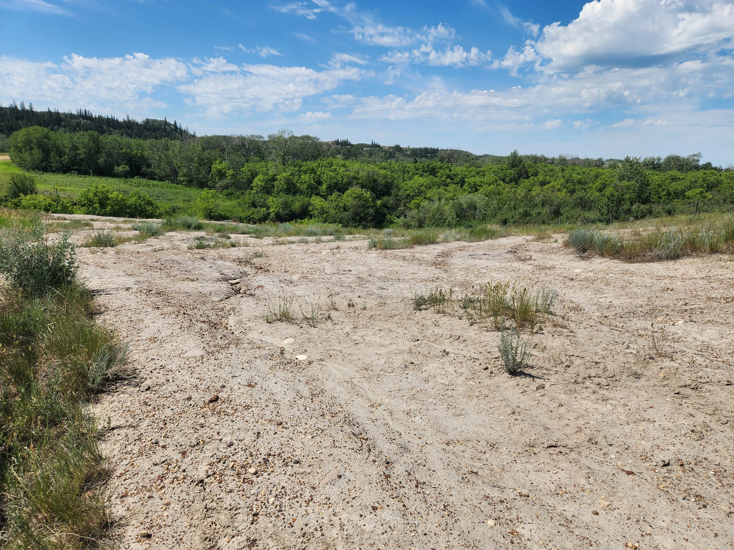 Landscape view of eroded barren area, sparse grass and bushes, green trees and hills in the background, under a blue sky with scattered clouds. The result of a landslide in 2003, due to disturbance in a highly erodible area. No recovery in 20 years