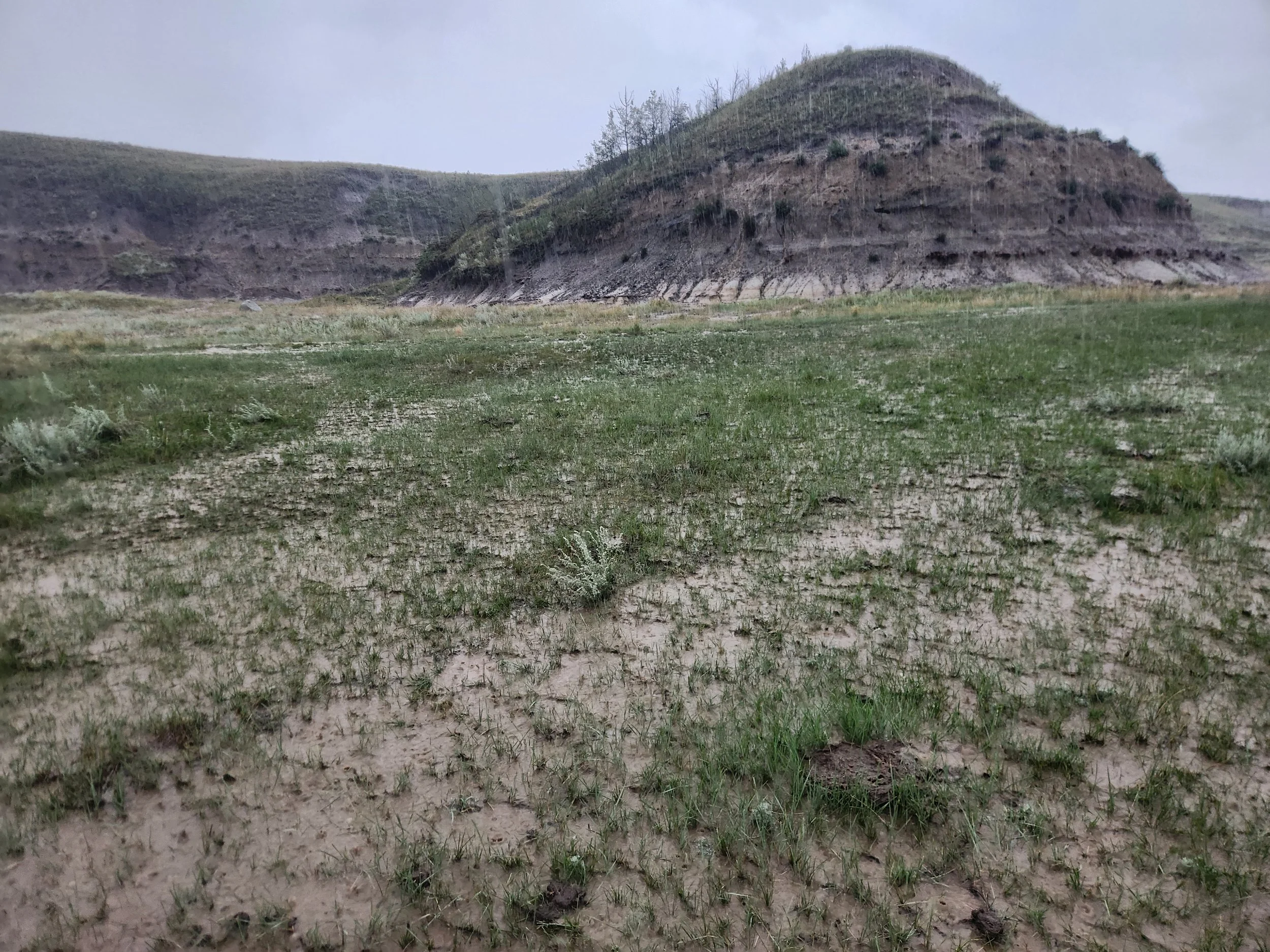 Foreground shows runoff overland during a normal summer rainfall event, with steep hills in the background contributing to amount of runoff. Native grass is holding the soil in place, preventing erosion.