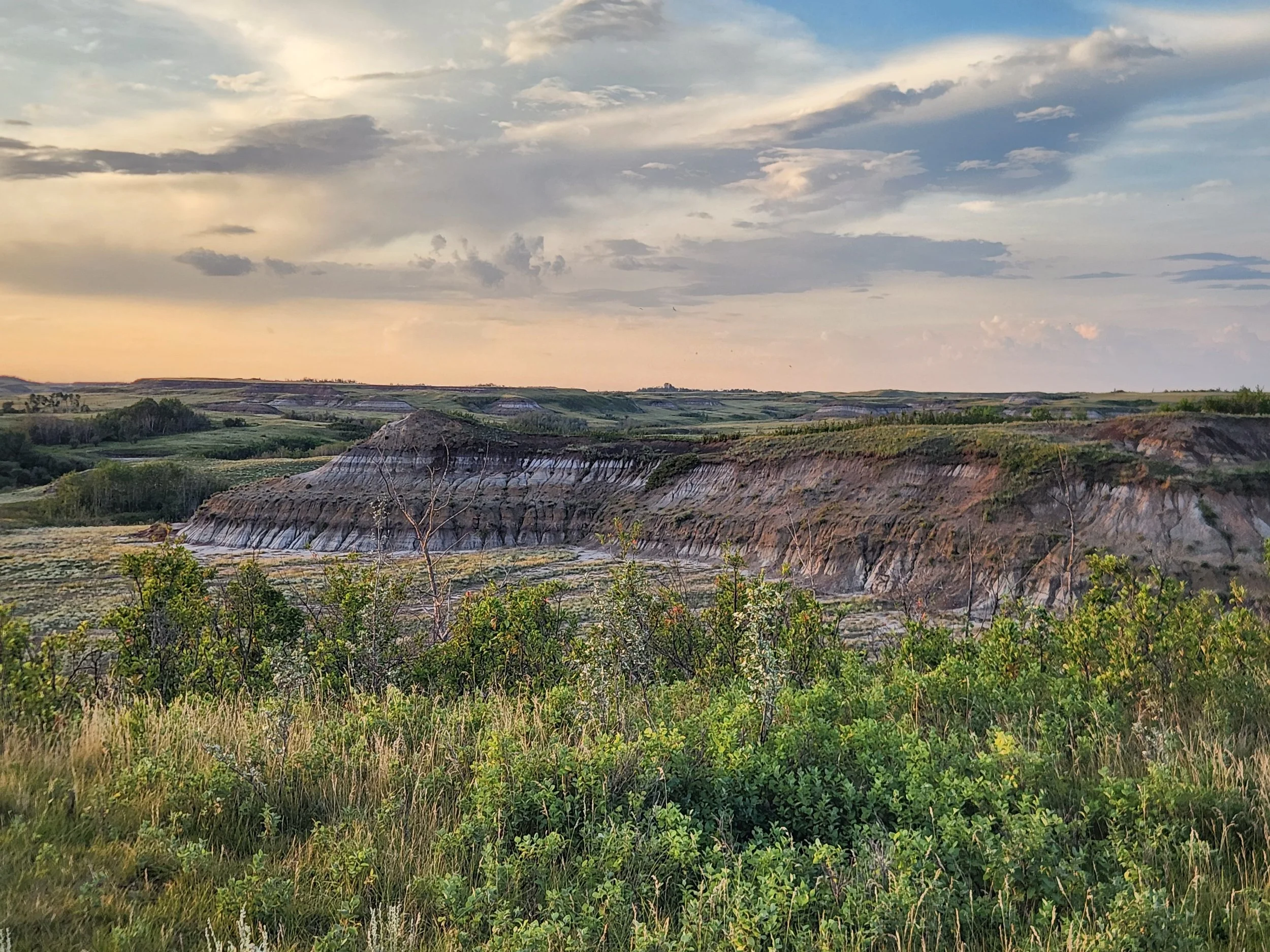 A wide landscape view of rolling hills, grassy fields, and layered terrain in the Battle River Valley south of Rosalind, with patches of trees and shrubbery under a partly cloudy sky at sunset.