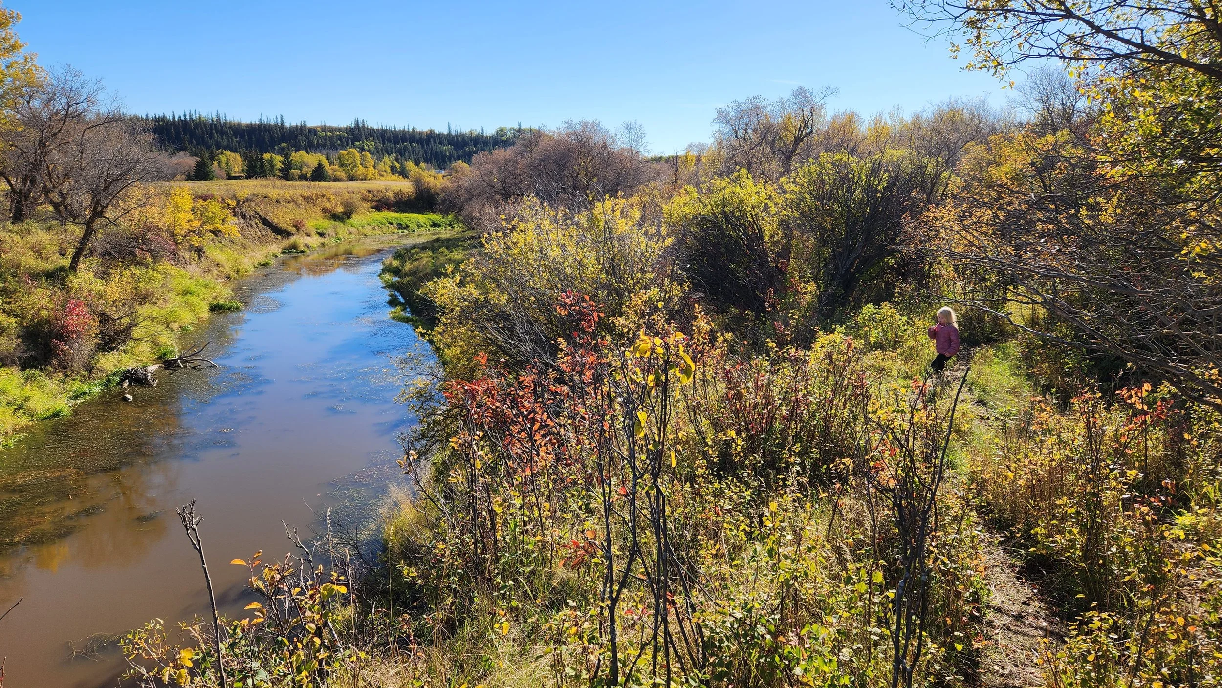 A girl in a pink jacket is standing on a grassy shore by a calm river lined with trees showing fall foliage. The scene is sunny with a clear blue sky and distant hills covered in evergreen trees.