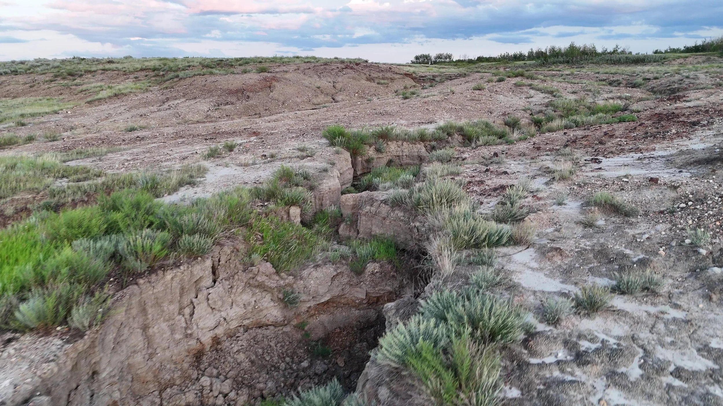 A deep erosion channel with patches of green grasses and small shrubs, under a cloudy sky.  The landscape is the result of sodium bentonite clay mining that the landscape has not recovered from in 50 years.