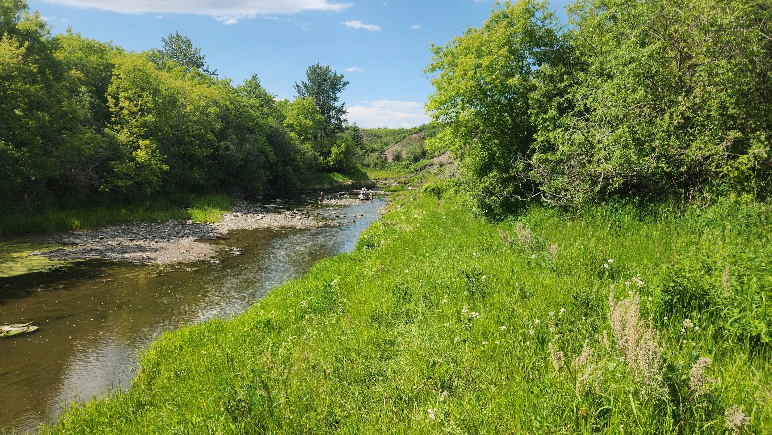A scenic view of the Battle River flowing through green grassy banks and lush trees on both sides under a partly cloudy sky.