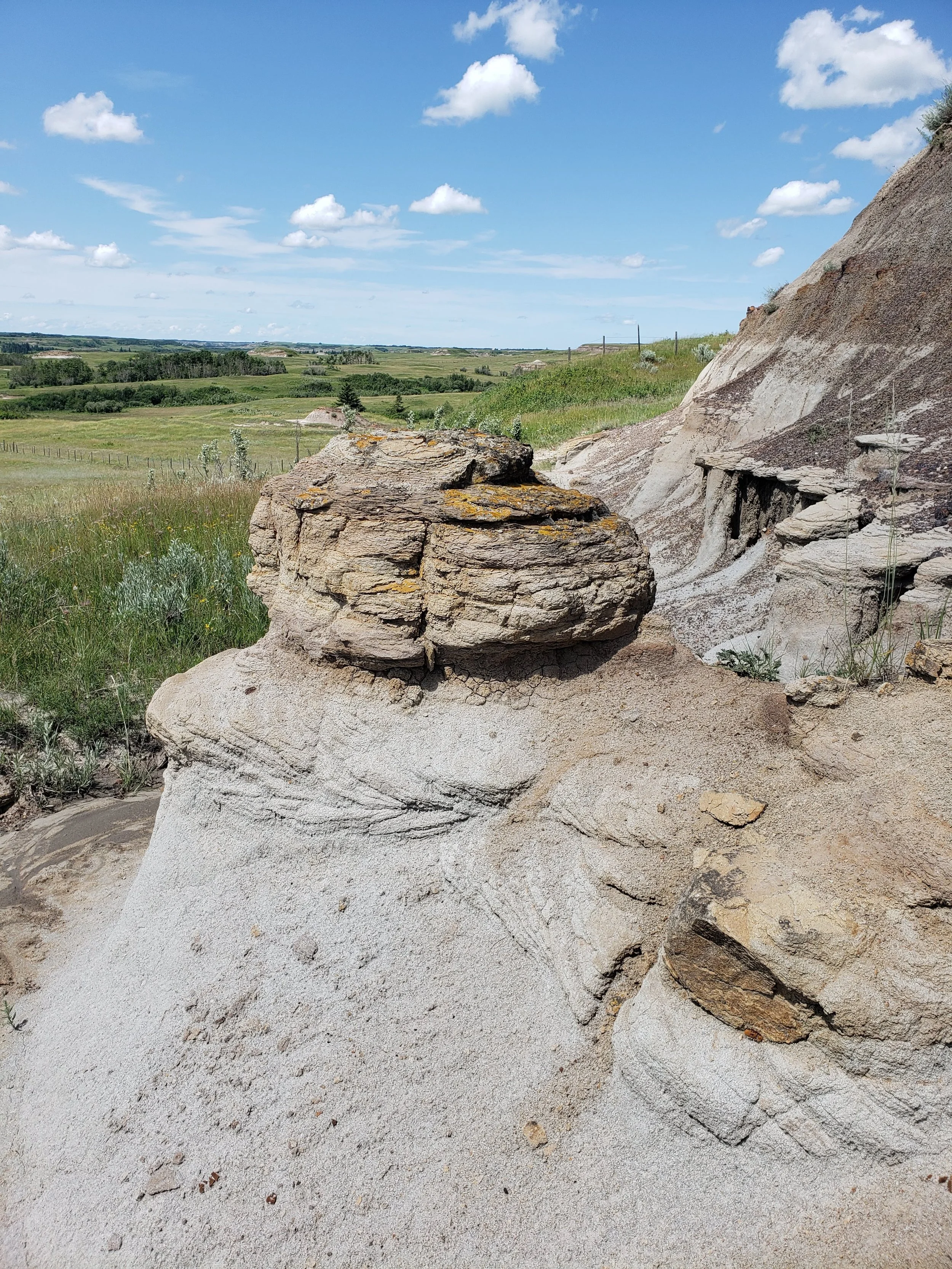 Close-up view of layered sedimentary rocks at a natural outdoor site, with grassy fields and a blue sky with scattered clouds in the background. Hoodoo badlands formation. Battle River Valley, Alberta.