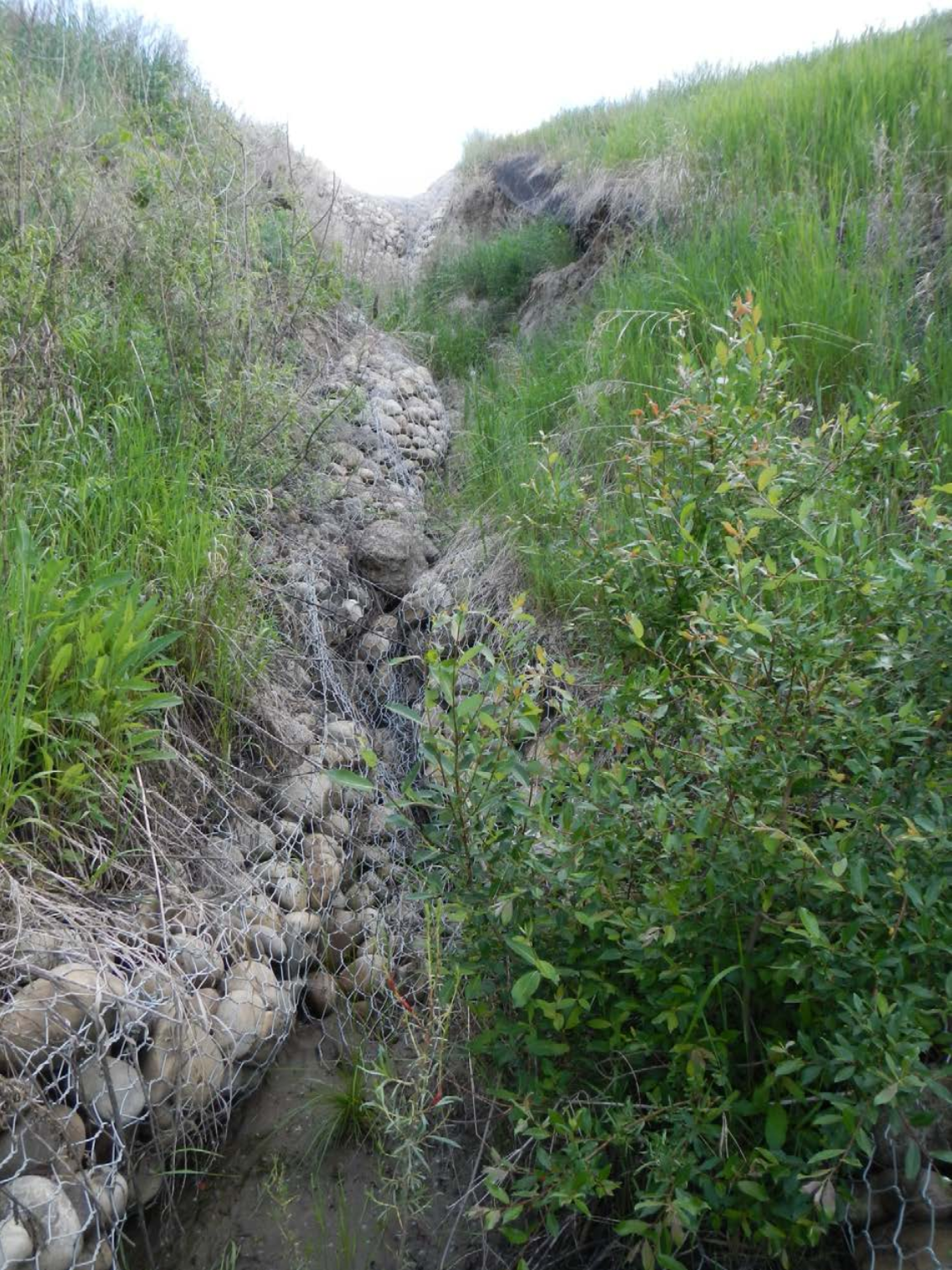 A deep erosion channel down a steep slope next to the road, threatening stability of landscape around it.