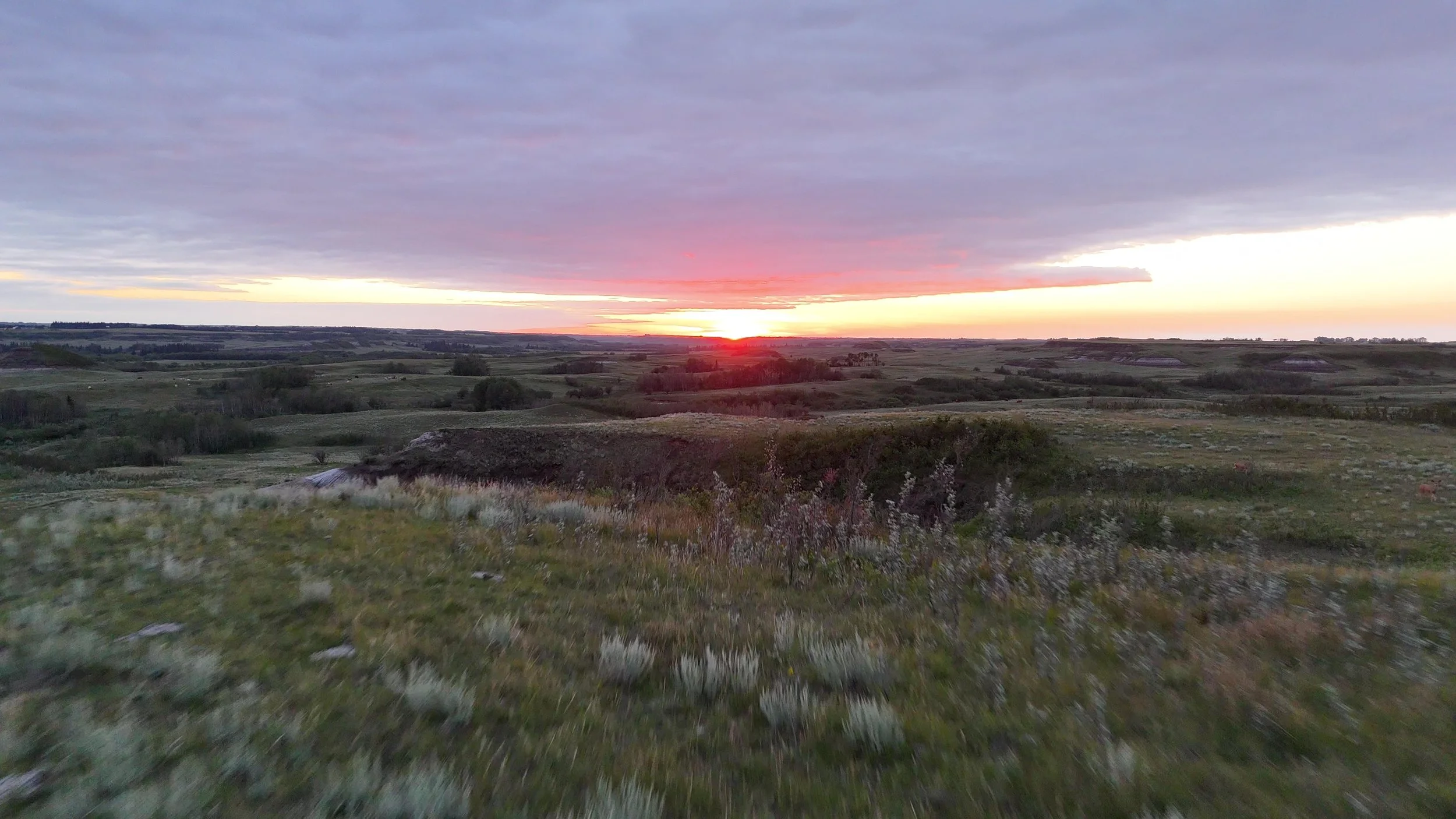 DJI_20250722213850_0097_D - frame at 0m21s.jpg