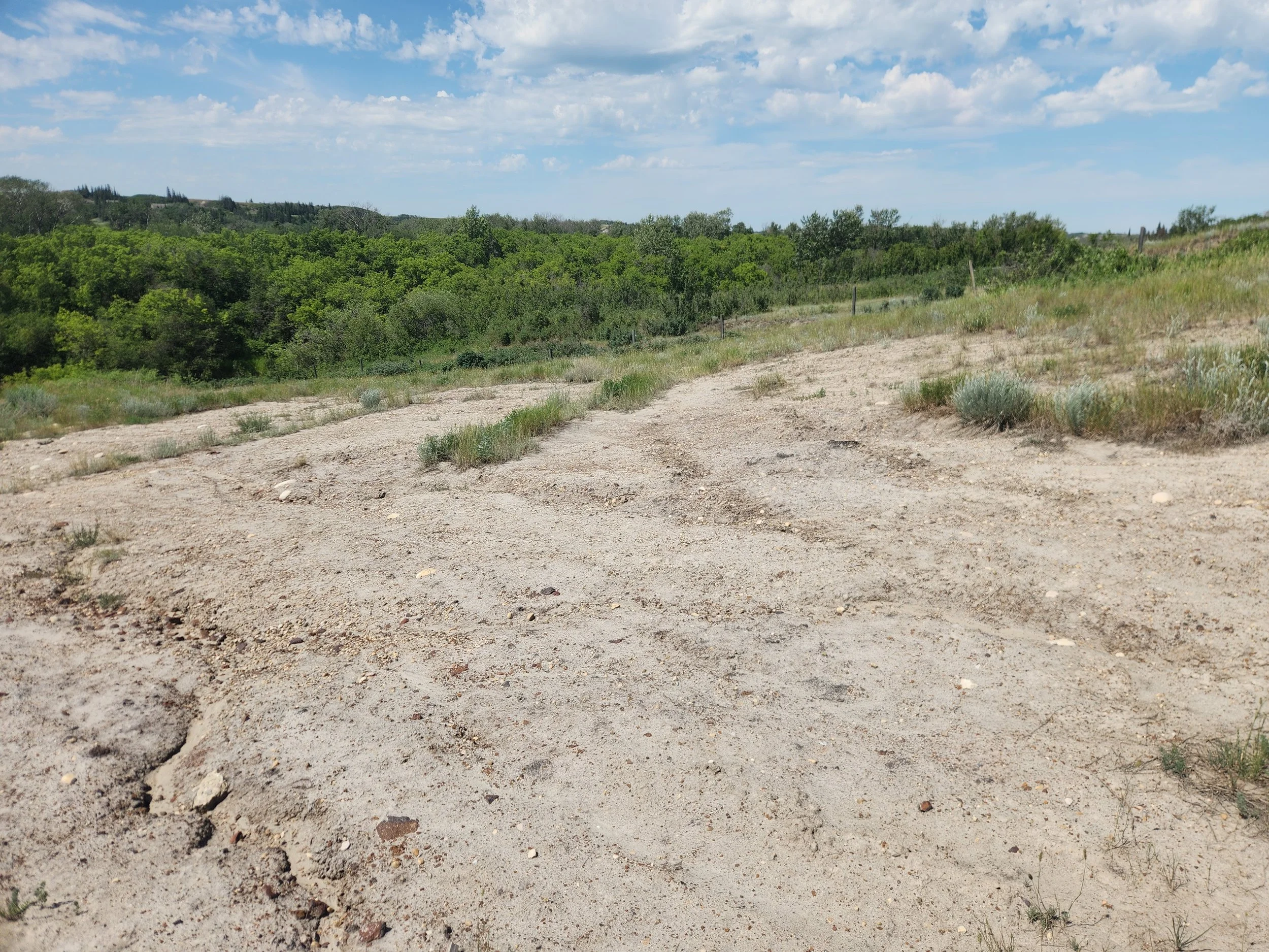 Landslide area not recovered from original event, with no vegetation and ongoing erosion.  Wide sandy area, with stones and erosion channels.