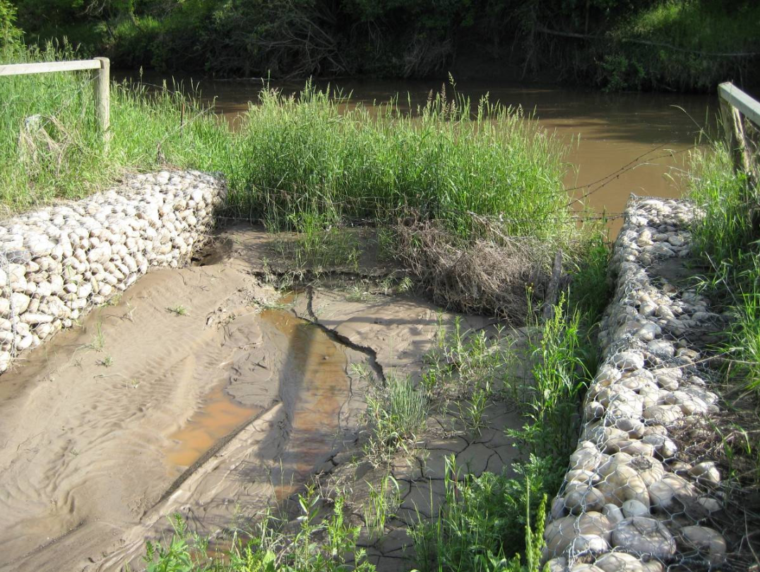A riverbank with stone-filled embankments, muddy terrain, grass, and a fallen tree in the water. Ongoing erosion.