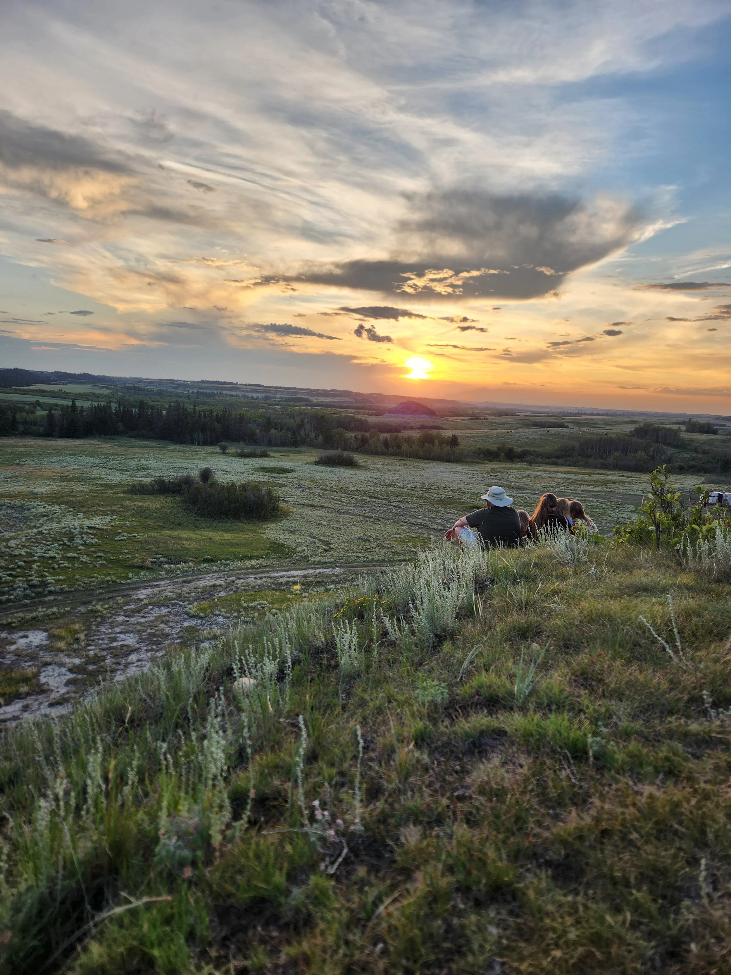 A scenic landscape in the Battle River Valley of a field with lush native grassland, sage, and wildflowers, with a few trees scattered across the horizon. The sky has a beautiful sunset with a mix of clouds and the sun setting behind distant hills.