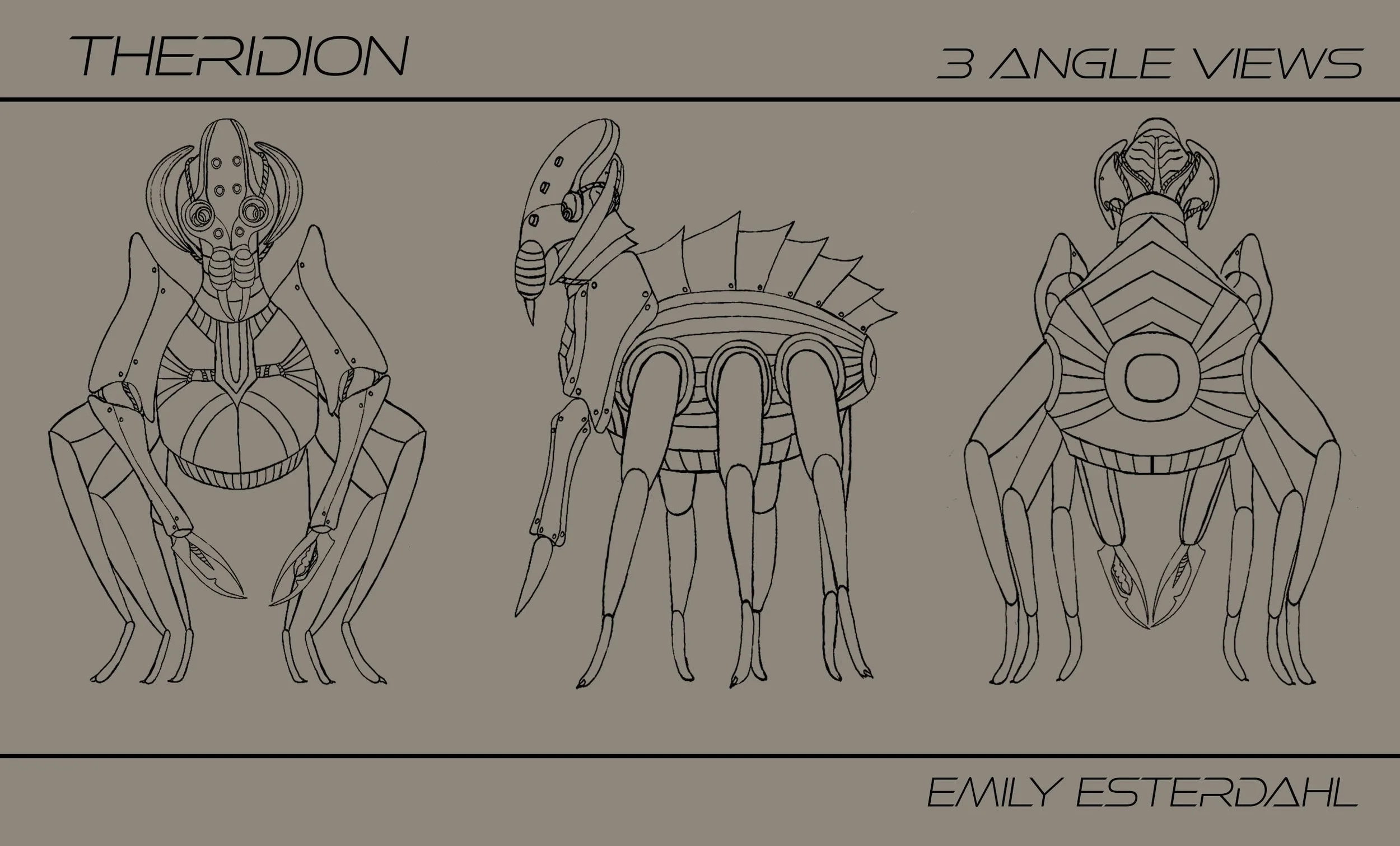 Theridion_3AngleViews.jpg