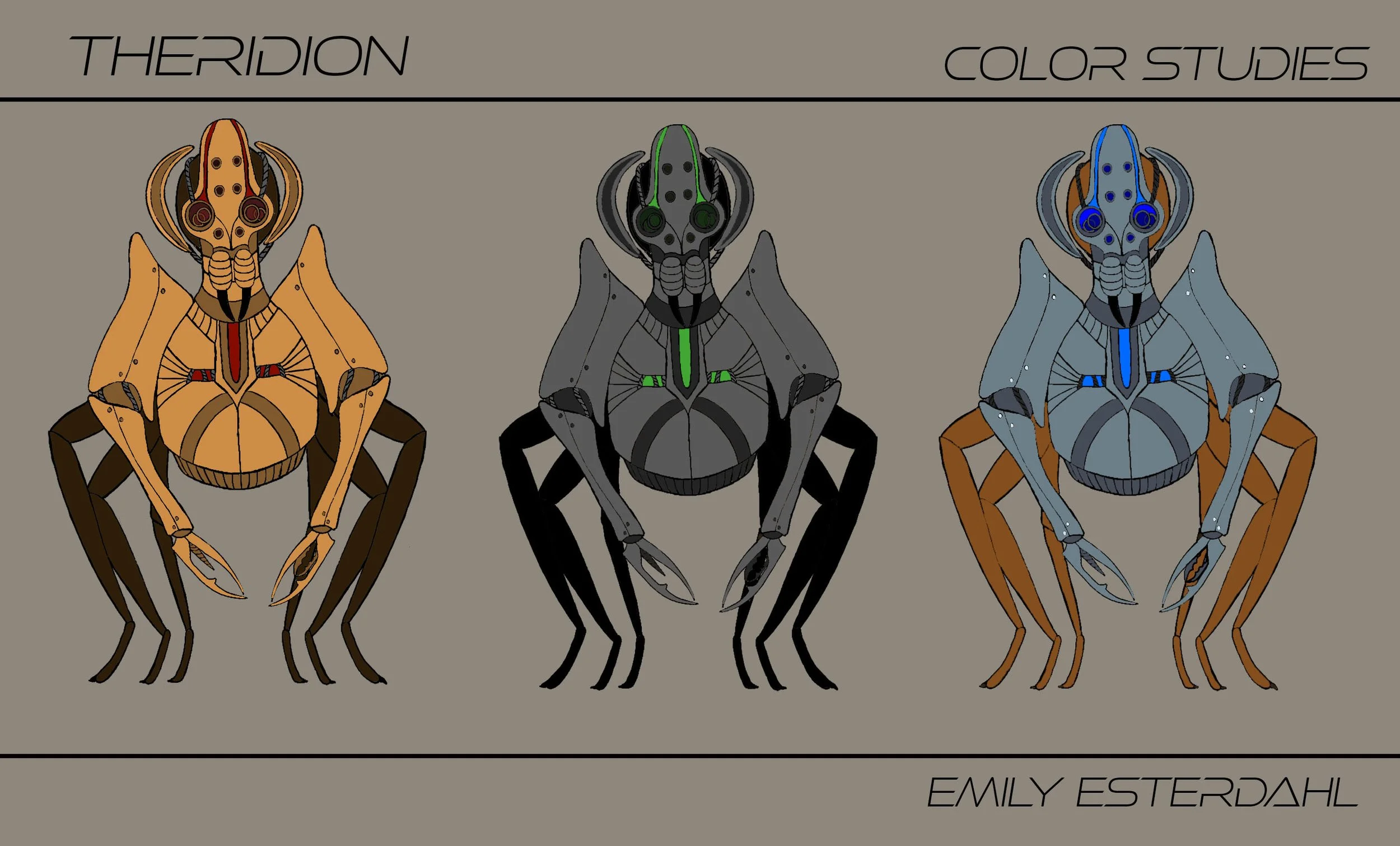 Theridion_ColorStudies.jpg