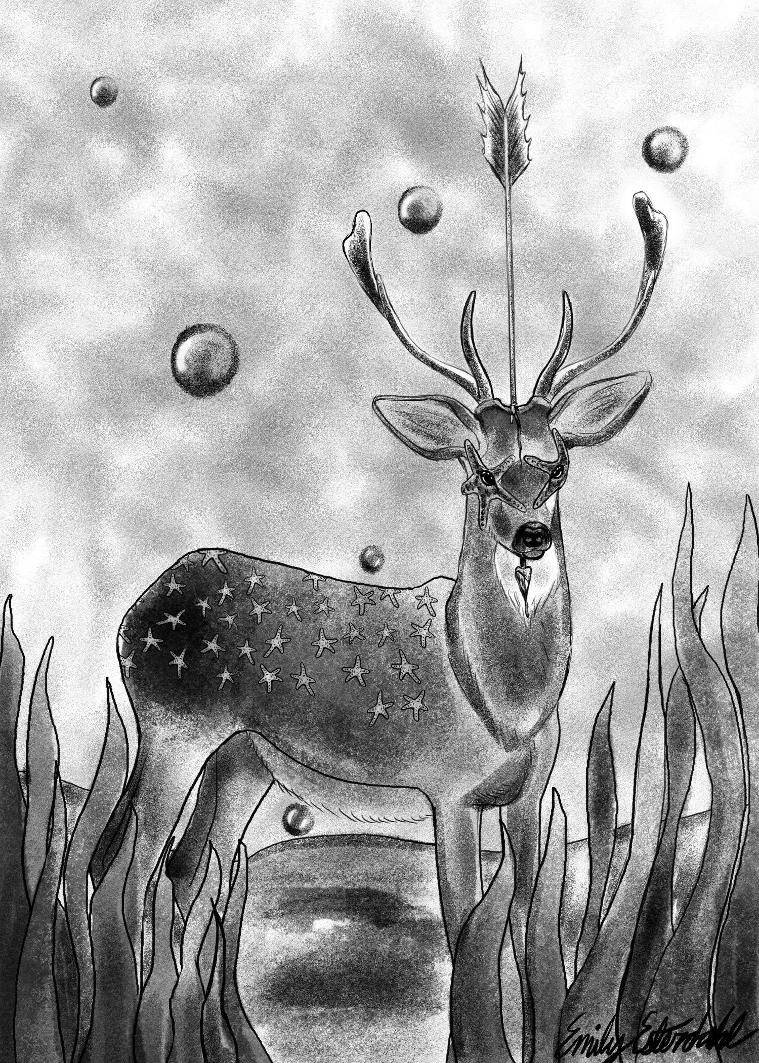 Prompt 567 Deer Pierce Starfish.JPG