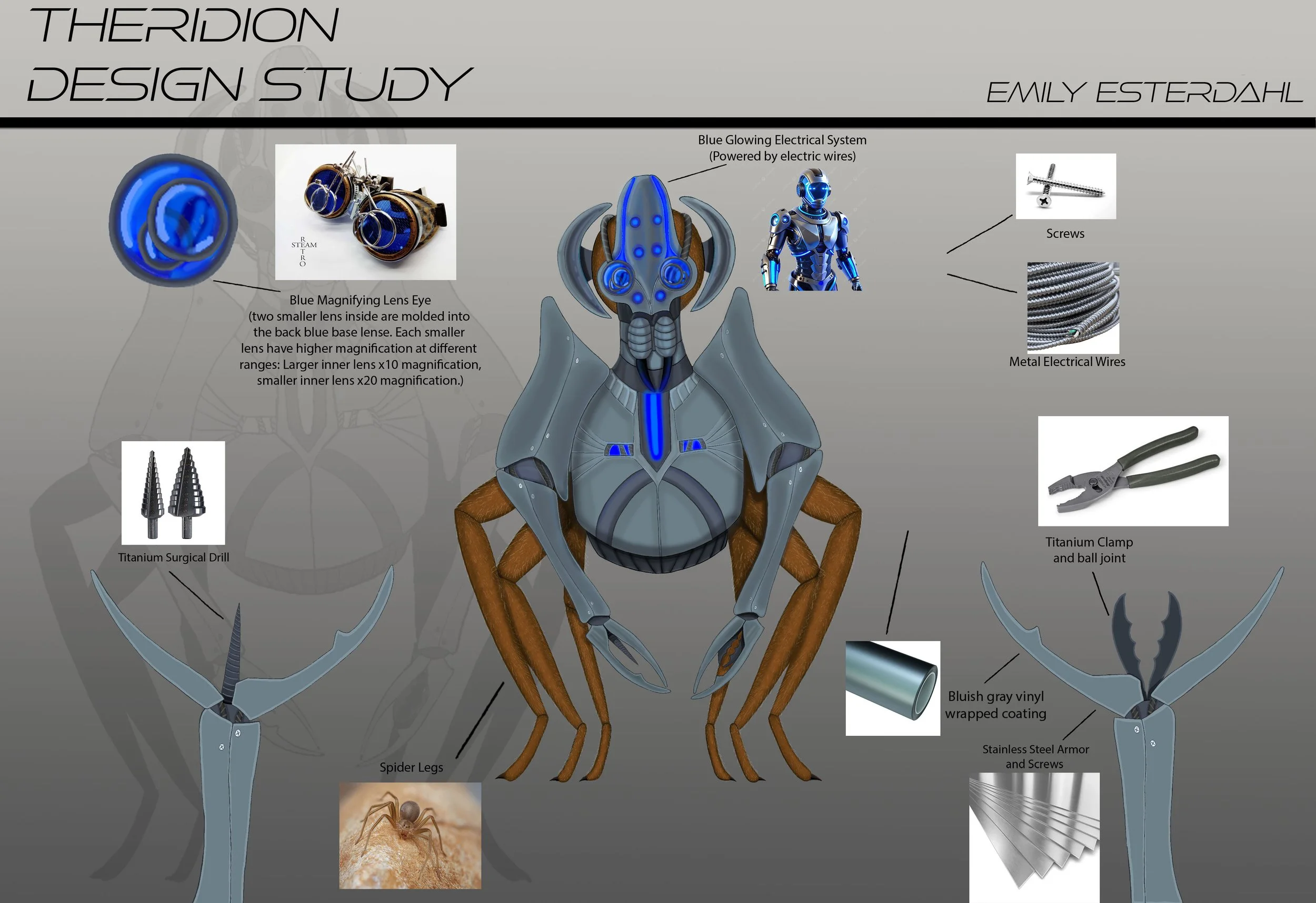Theridion_DesignStudy.jpg