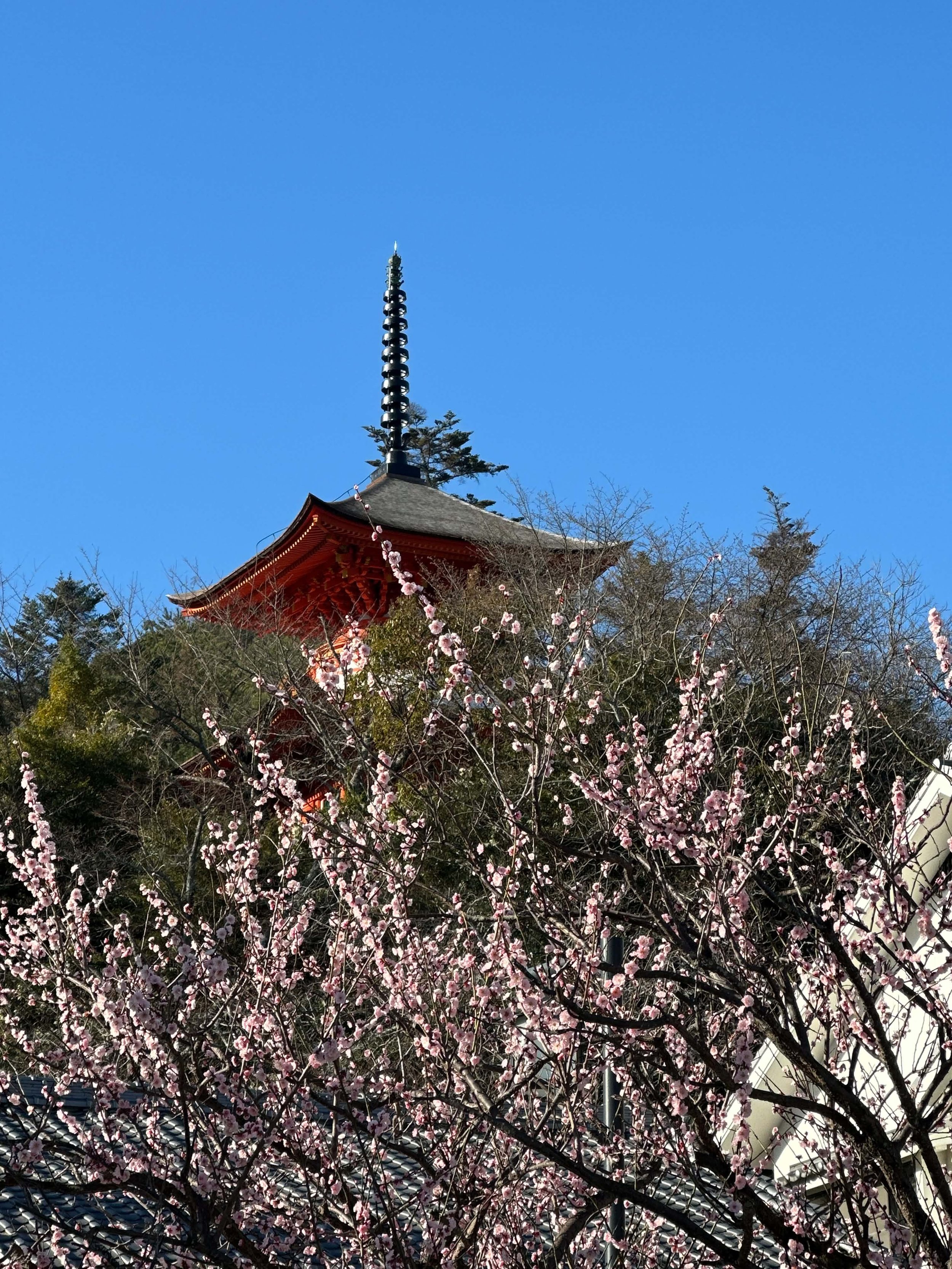 2810efcc-3d19-431a-8f5a-ea60ffcb56b0.jpg