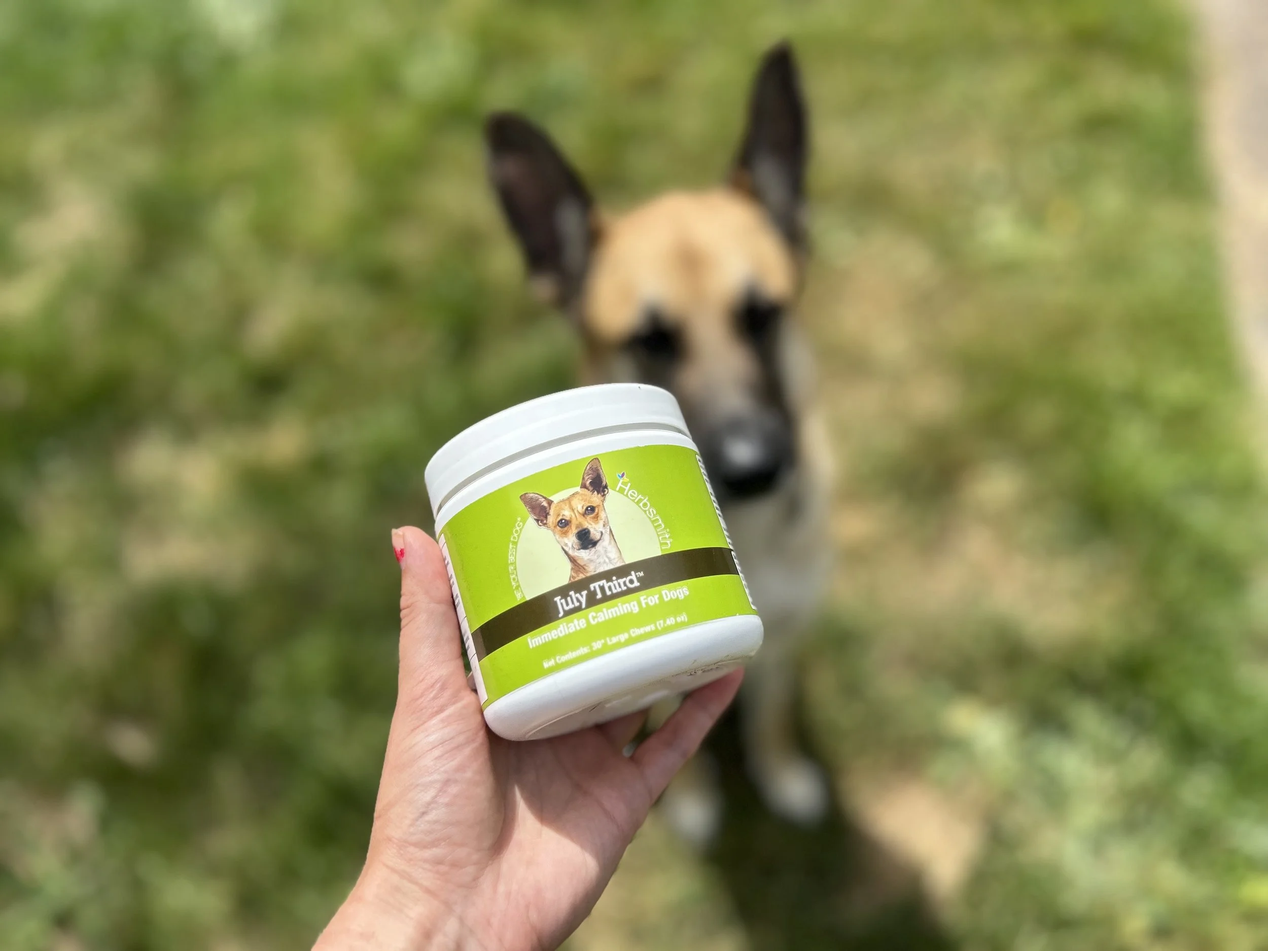 Review: Can Herbsmith July Third Help Reactive Dogs? I Tried It Out