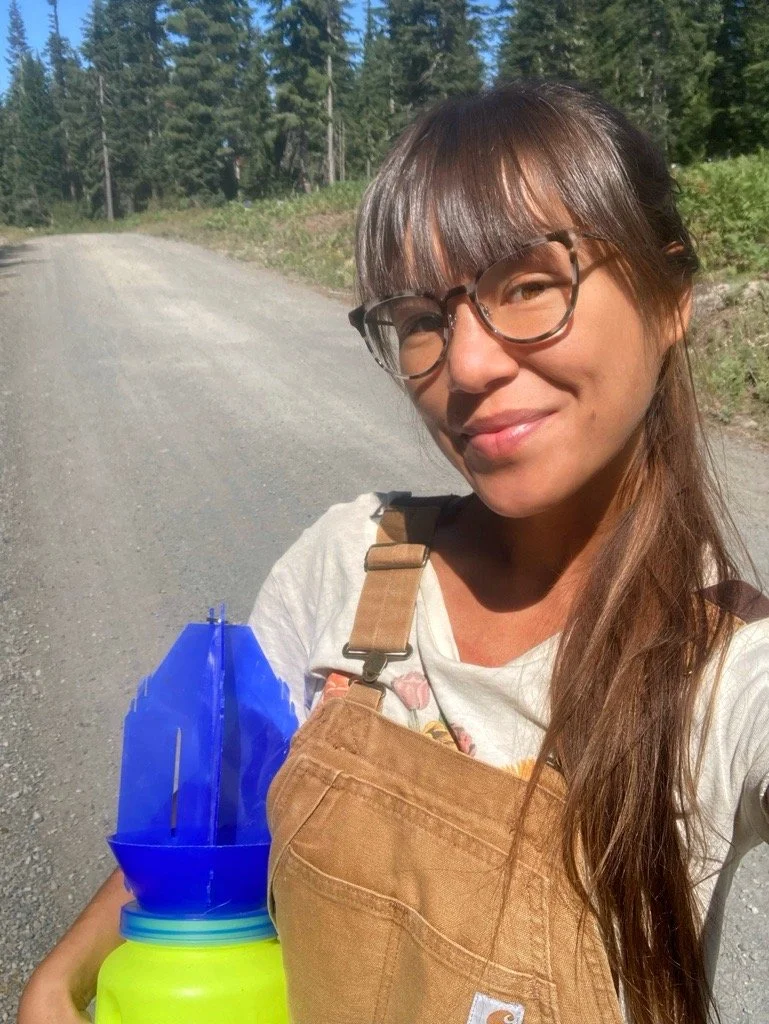Dr. Sadie Trush standing on a logging road in Gifford Pinchot National Forest, holding a blue vane bee trap.
