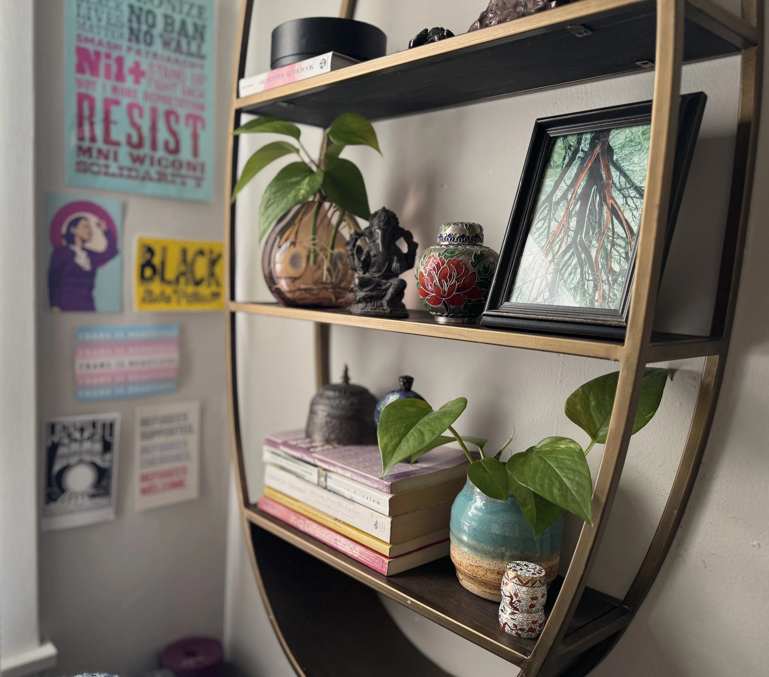 various decorative items and small plants on two thin shelves. activist signs in the background.