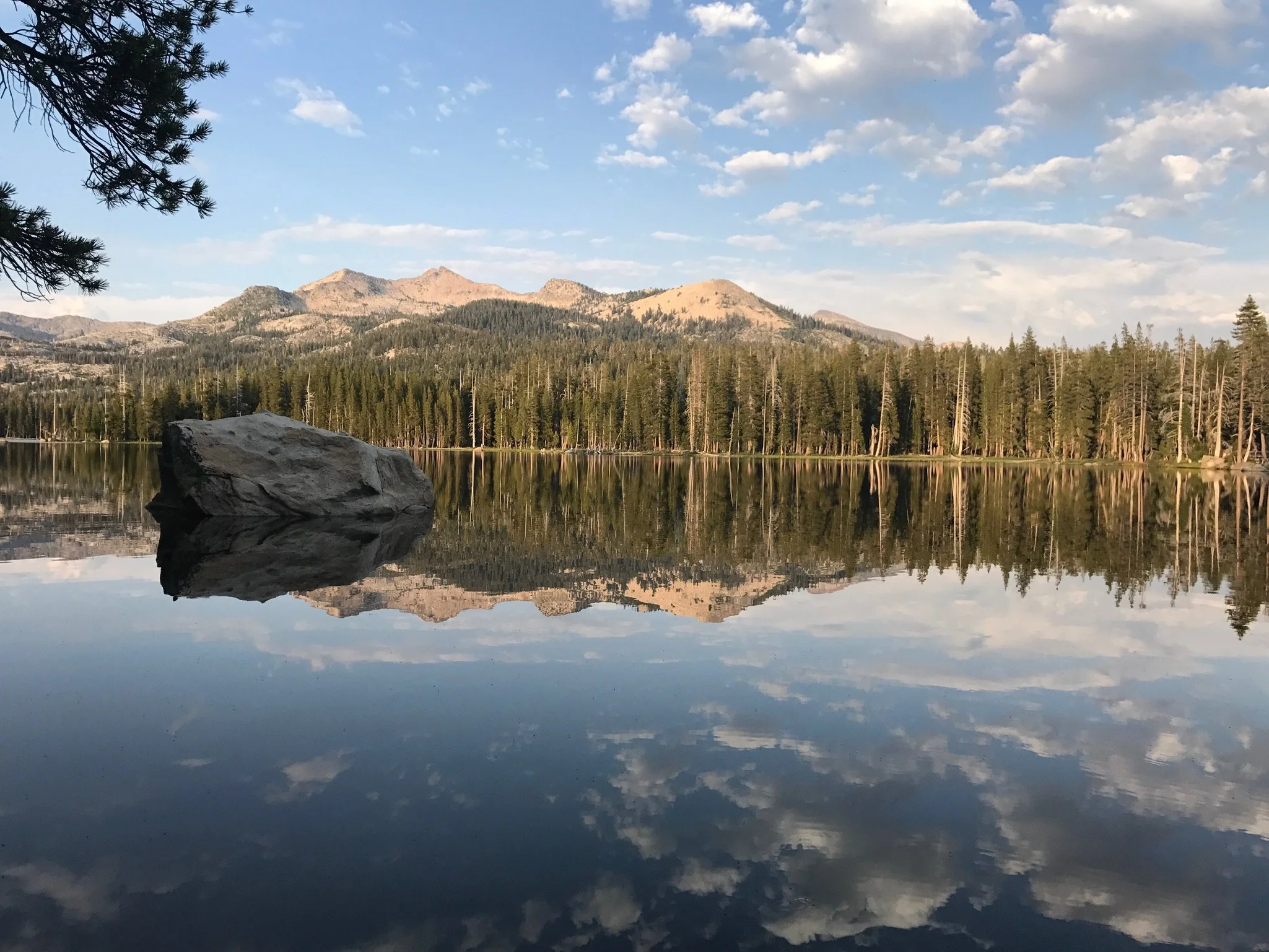 Image of cloudy sky, rocky mountains, and evergreen trees perfectly reflected in a lake