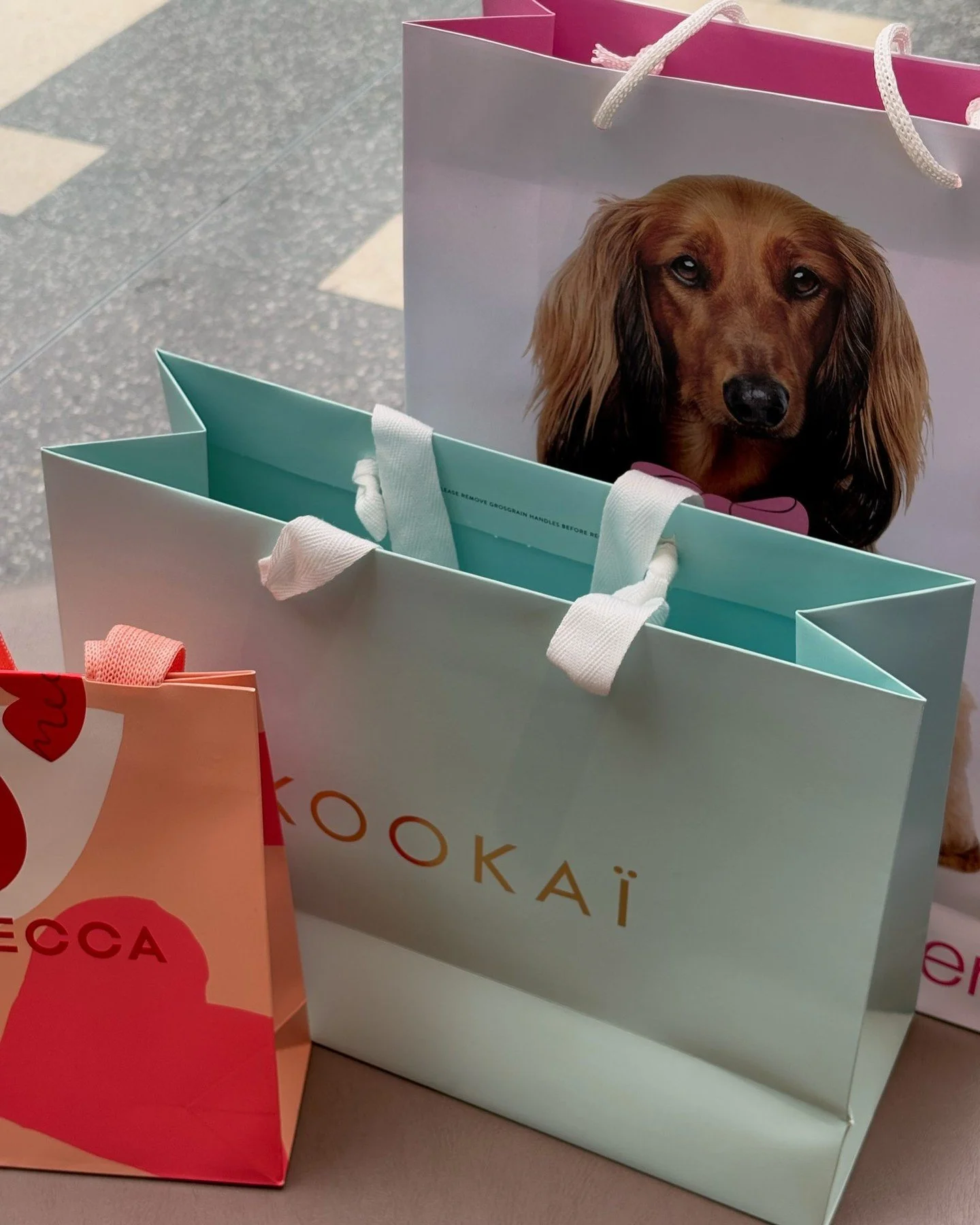 Shopping bags with a picture of a dog, and text saying "Chocokai" and partially visible text on the other bag.