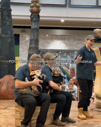 People sitting and standing inside a shopping mall, with a woman holding a dog, children and adults in the background, and a mall directory or display in the background.