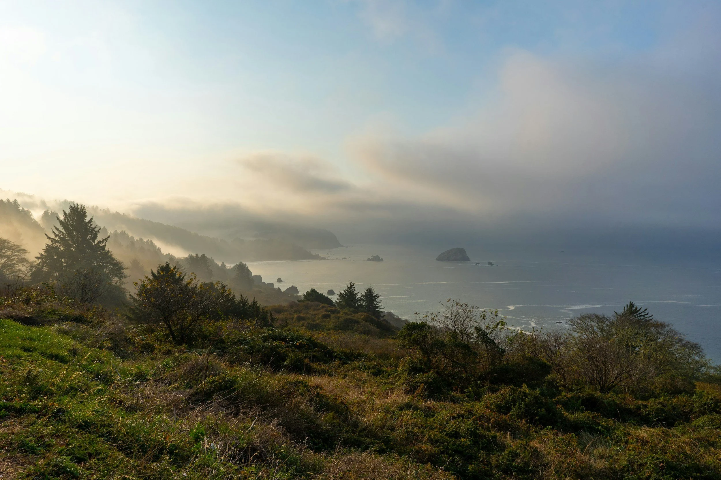Coastal landscape with foggy shoreline, trees in the foreground, ocean waves, and rocky formations under a cloudy sky.