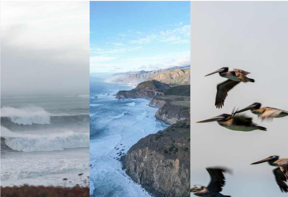 Pacific Perspectives Bundle