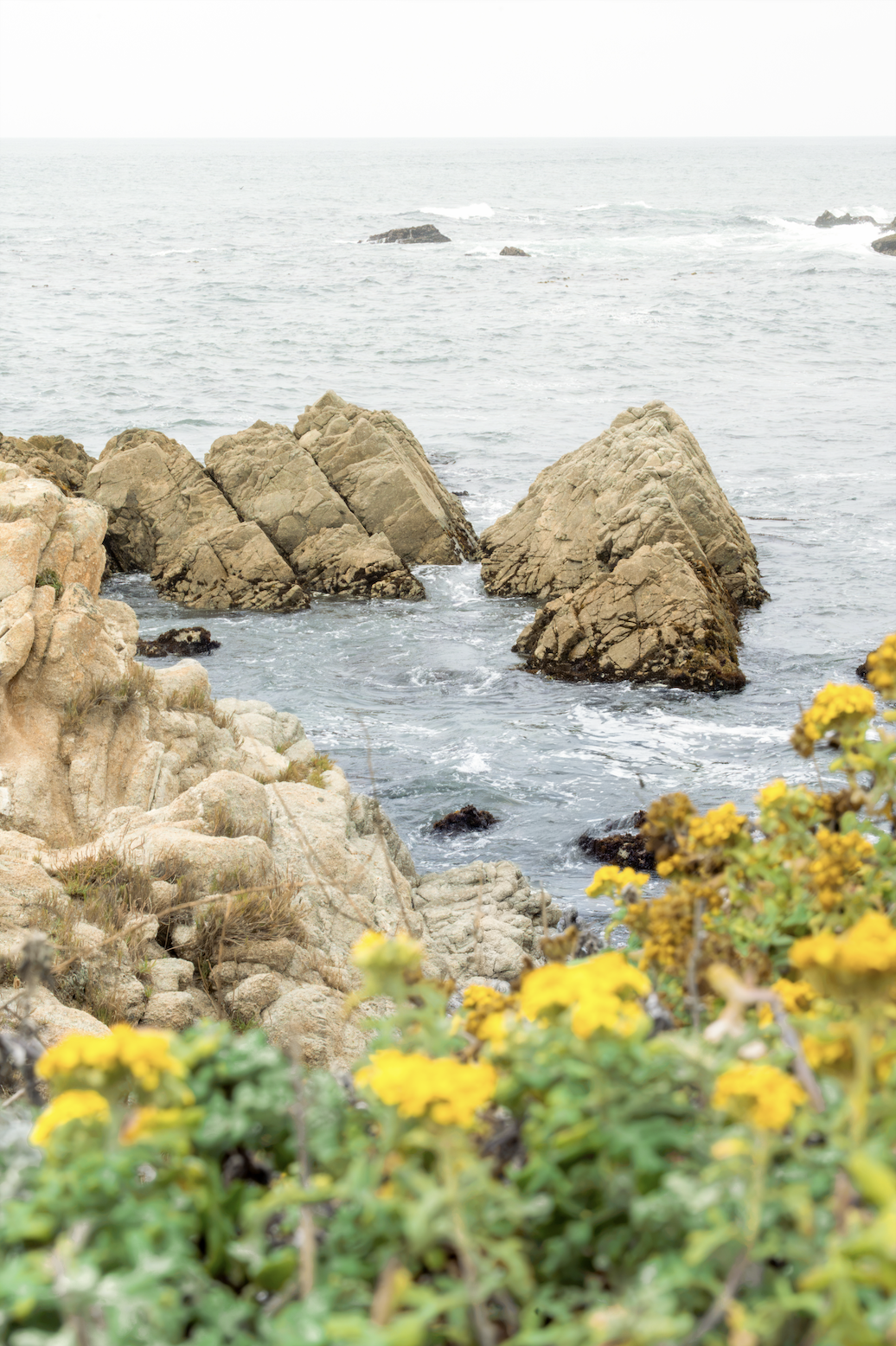 Sea Swirls