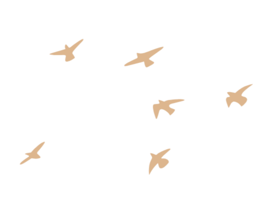 A graphic of beige birds without background.