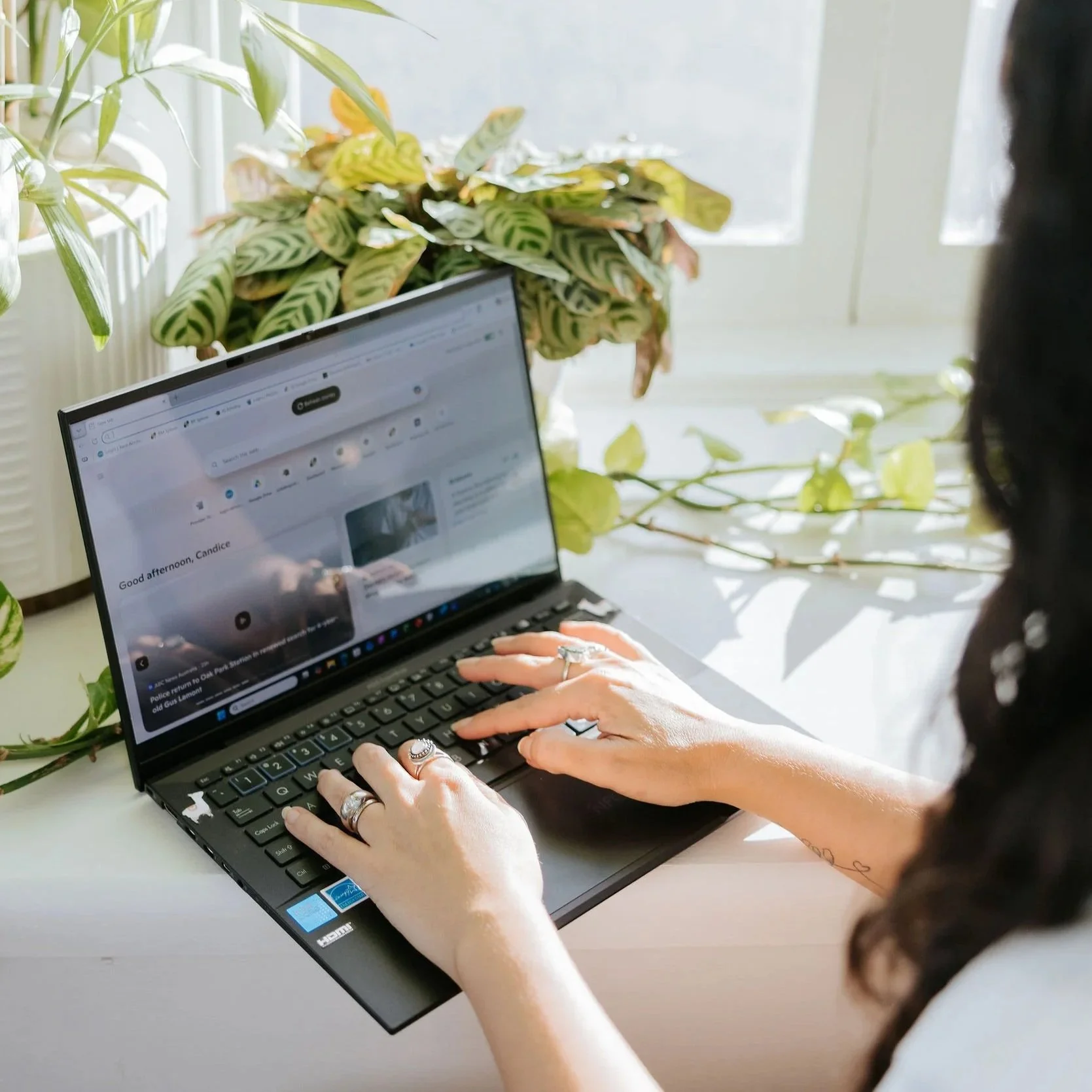 Candice Heffernan typing on a black laptop with a plant with large variegated green and cream leaves behind it, near a window with bright natural light.