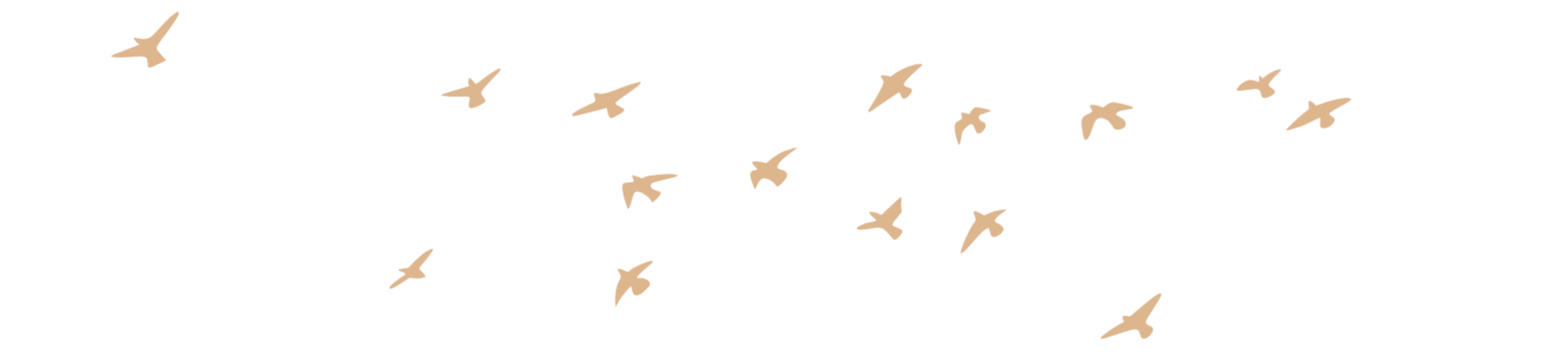 A graphic of beige birds without background.