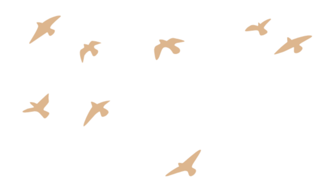 A graphic of beige birds without background.