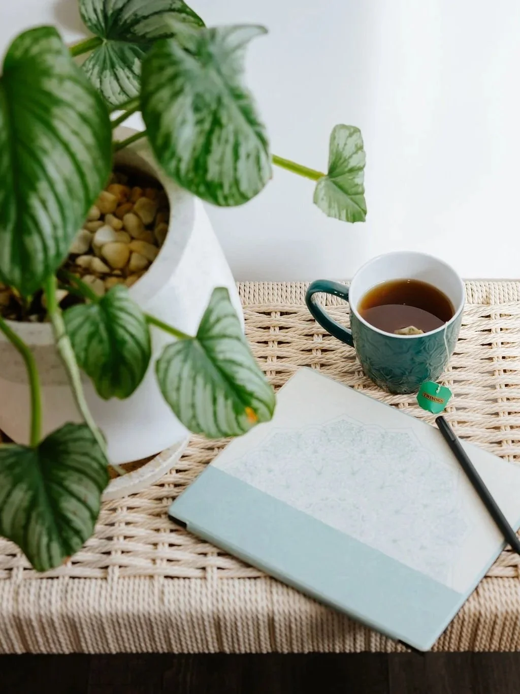 A table with a potted green and white striped plant, a cup of tea with a tea bag tag, a black pen, and a closed notebook on a woven surface.