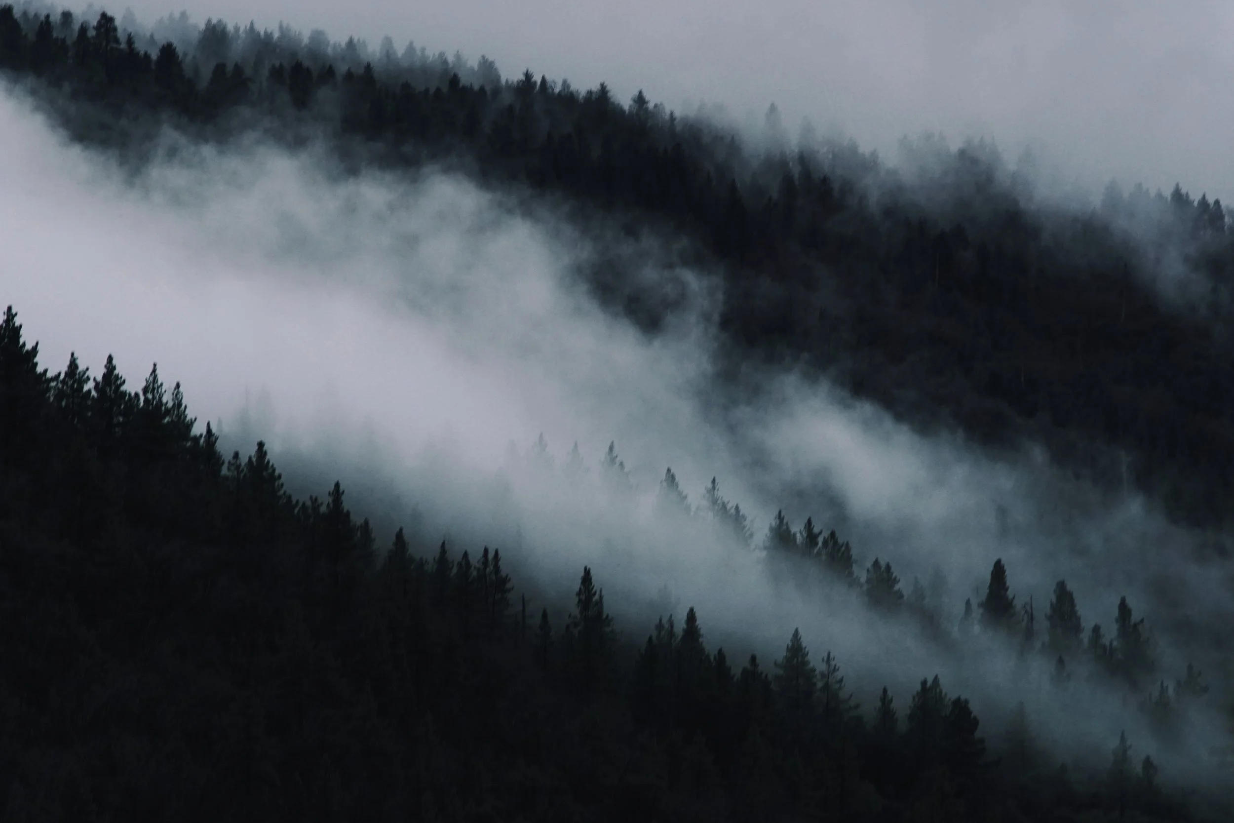 foggy mountain photo