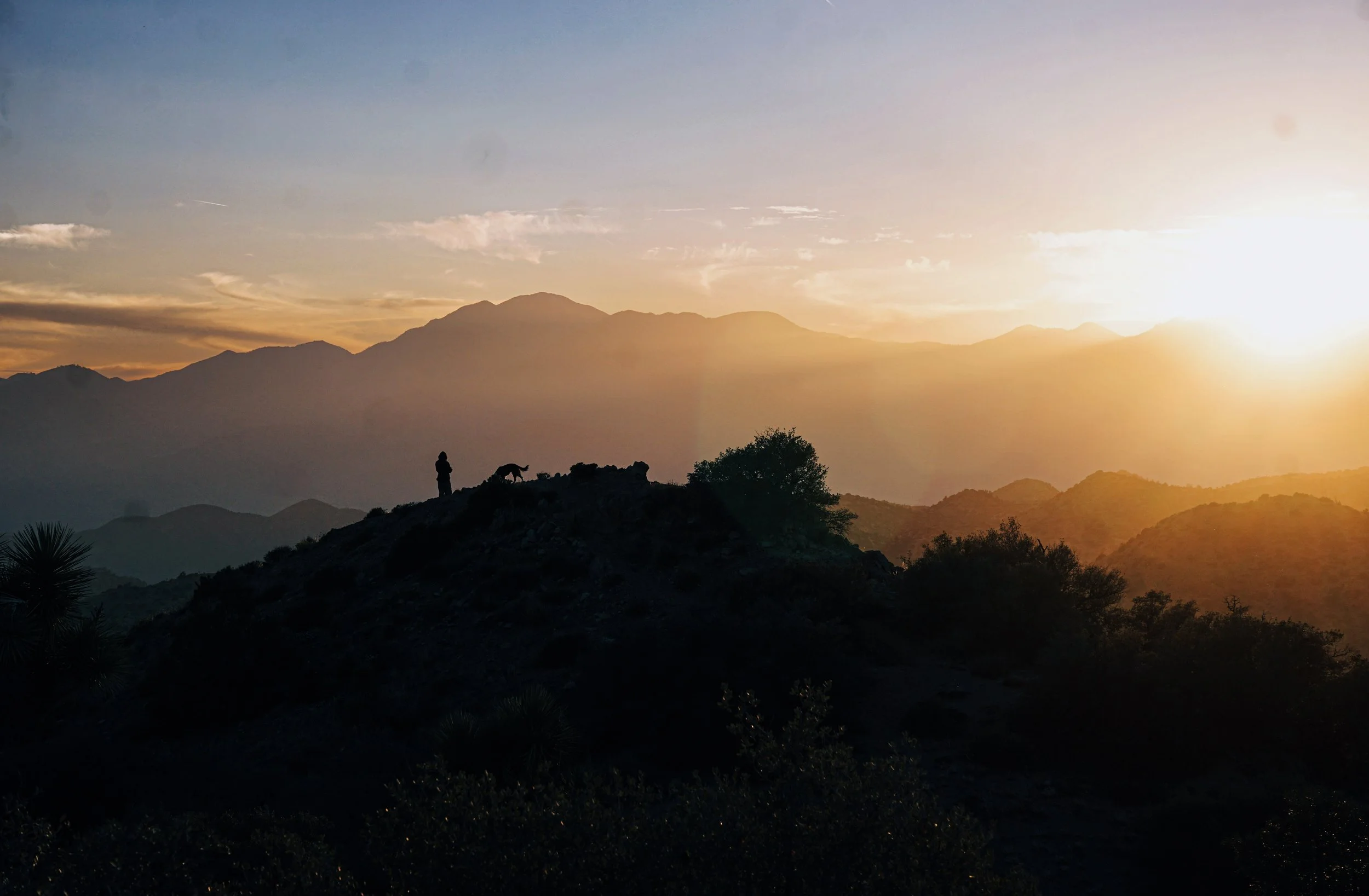 joshua tree national park photograph