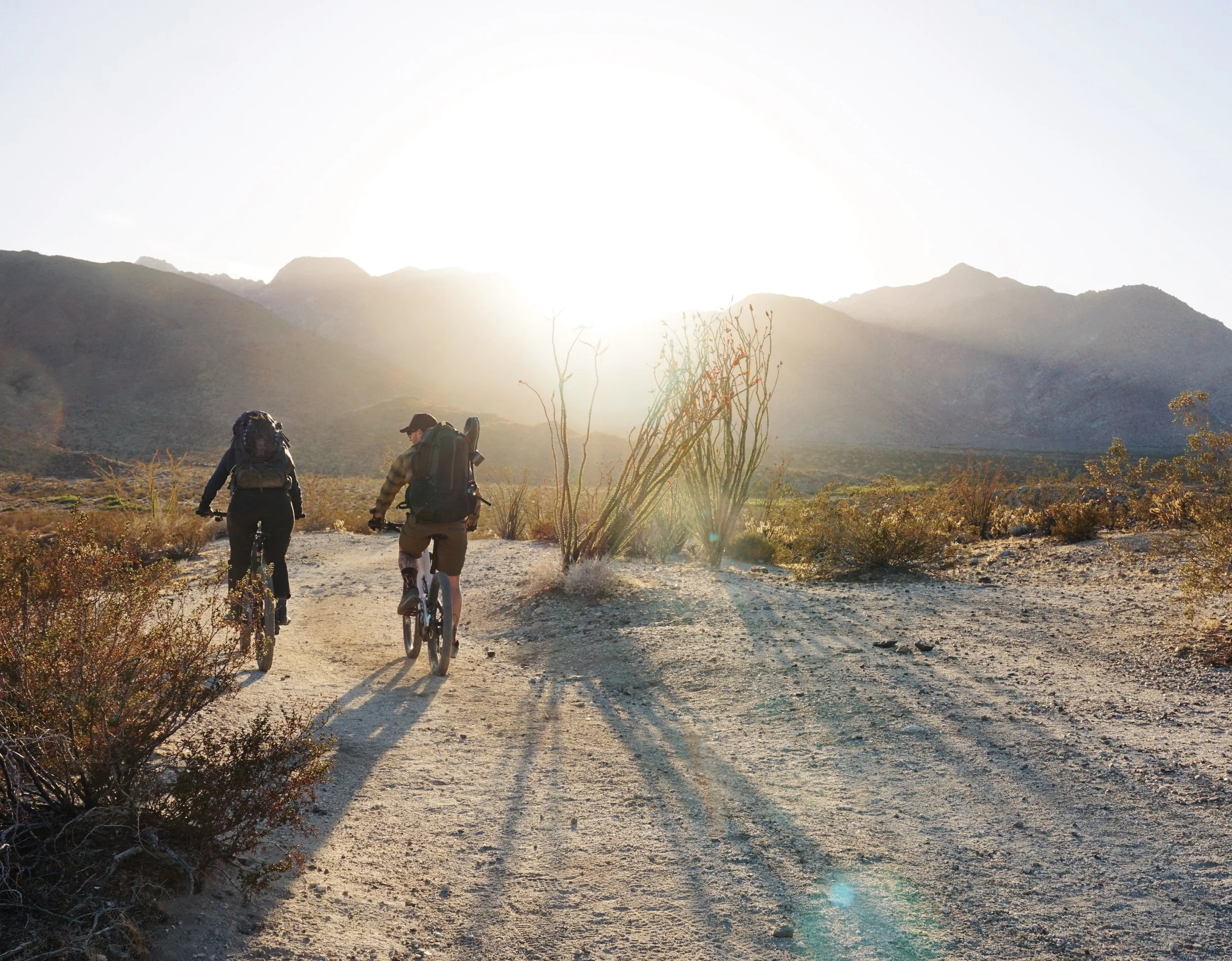 mountain bikers desert riding