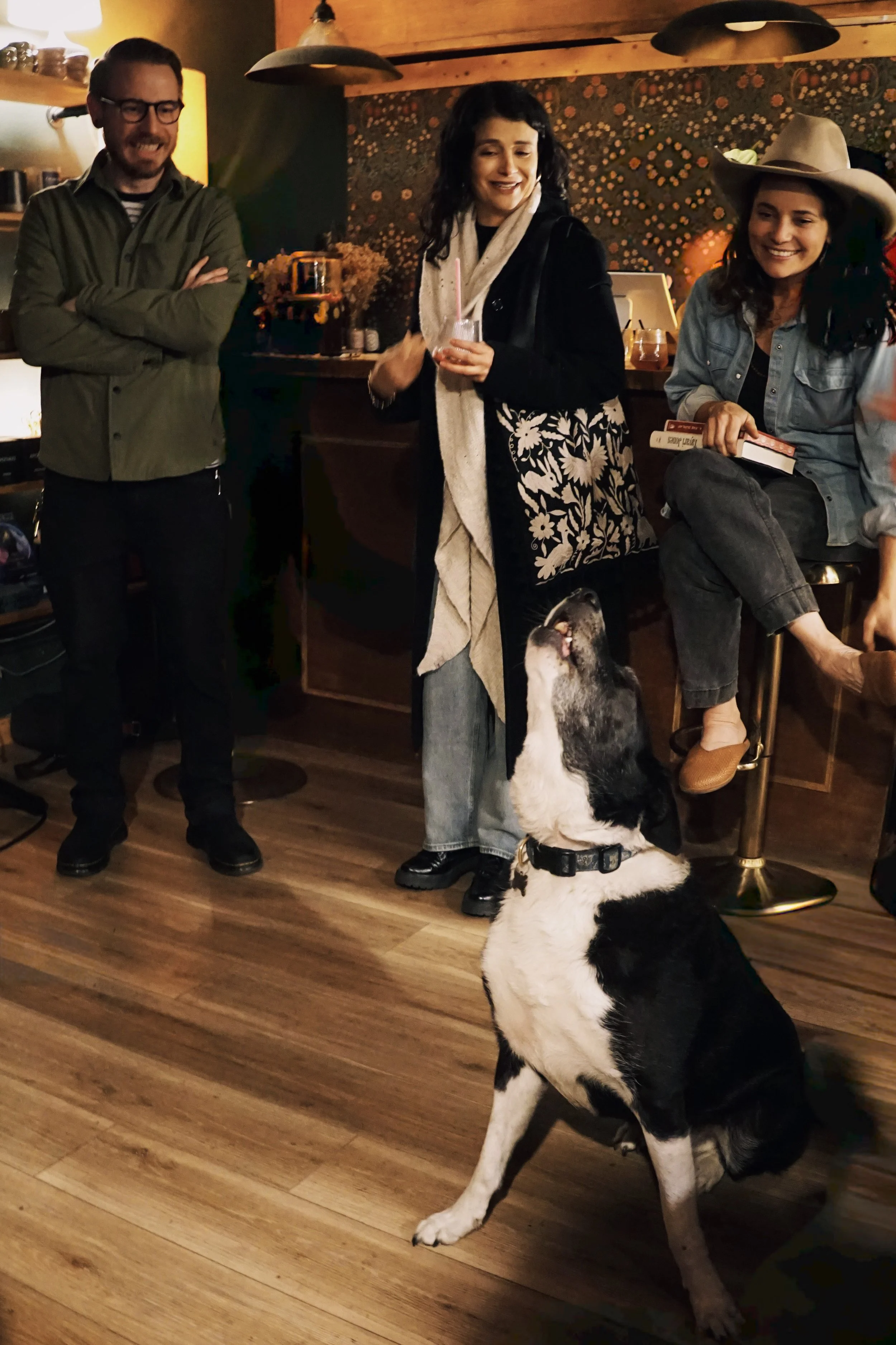 bookshopdogsite.jpg