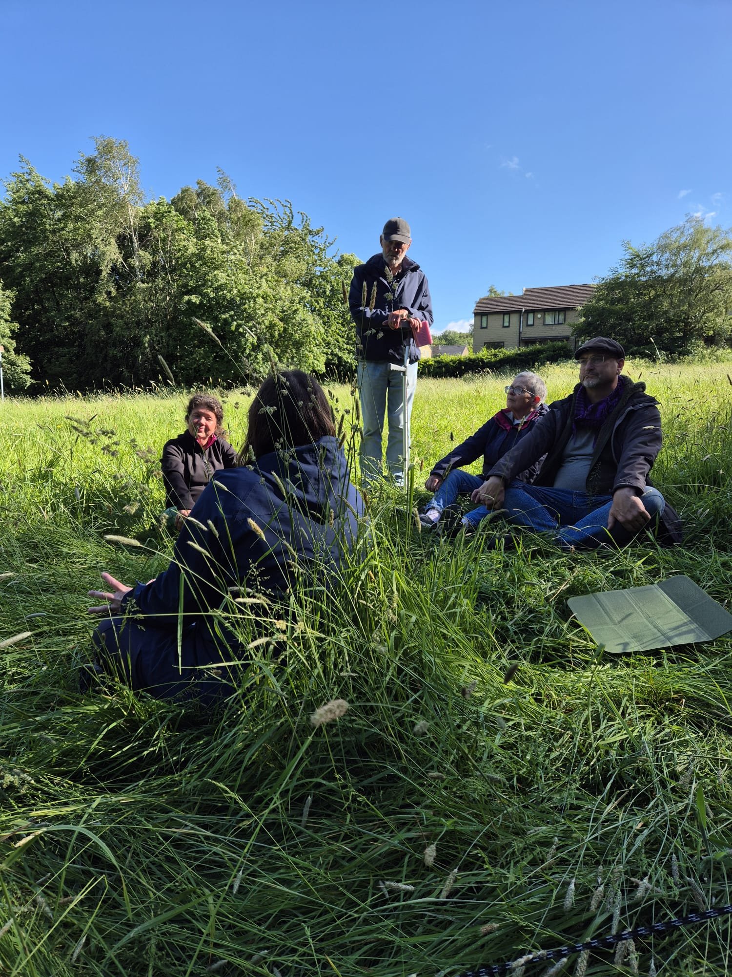 group of people meditating  sitting in the grass surrounded by woodland