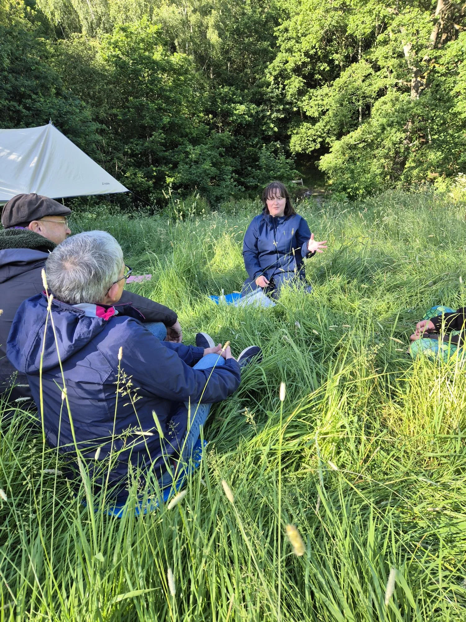 A group of people sitting in a meadow surrounded by woodland