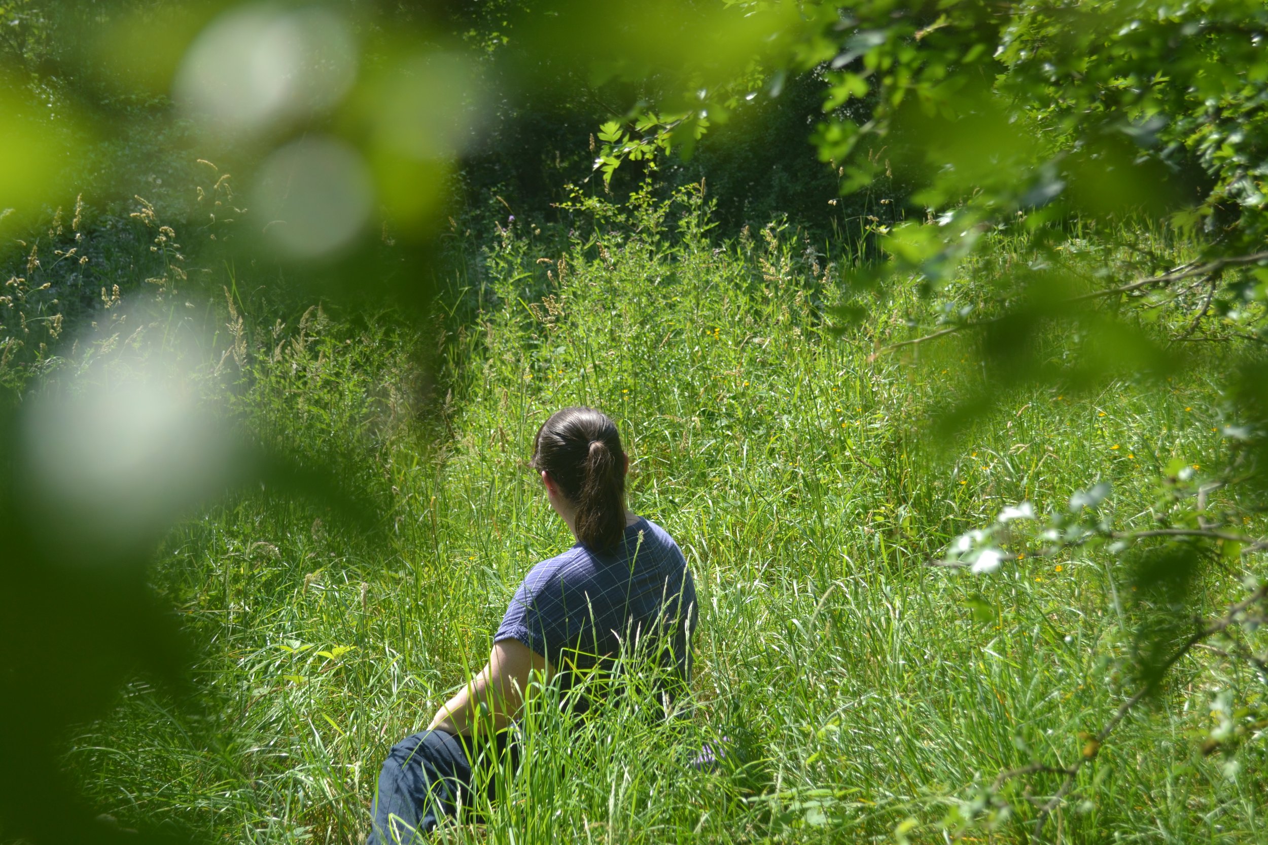 The back of a womans head as she meditates in the woodland