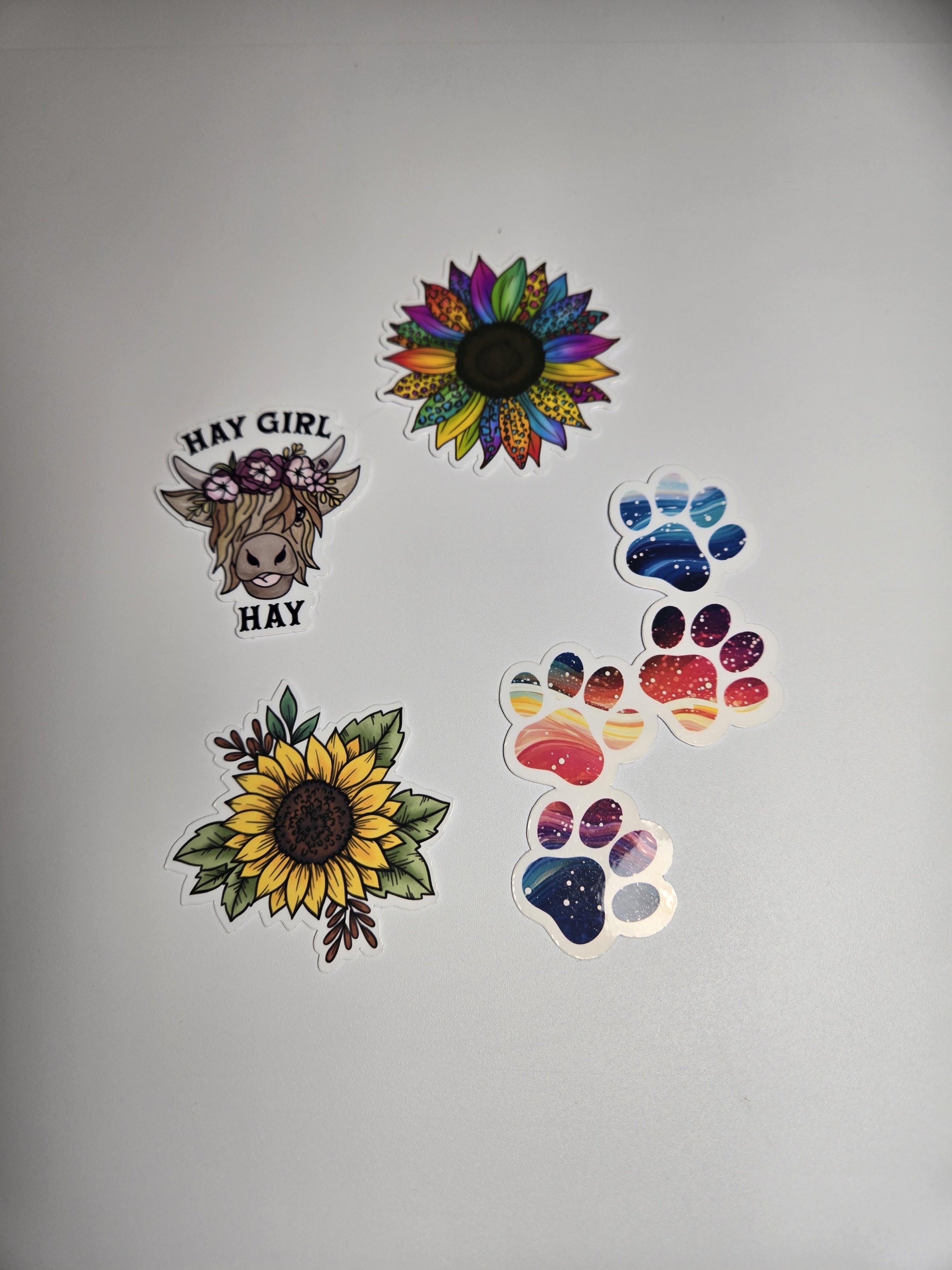 Space Cowgirl Sticker 4-Pack